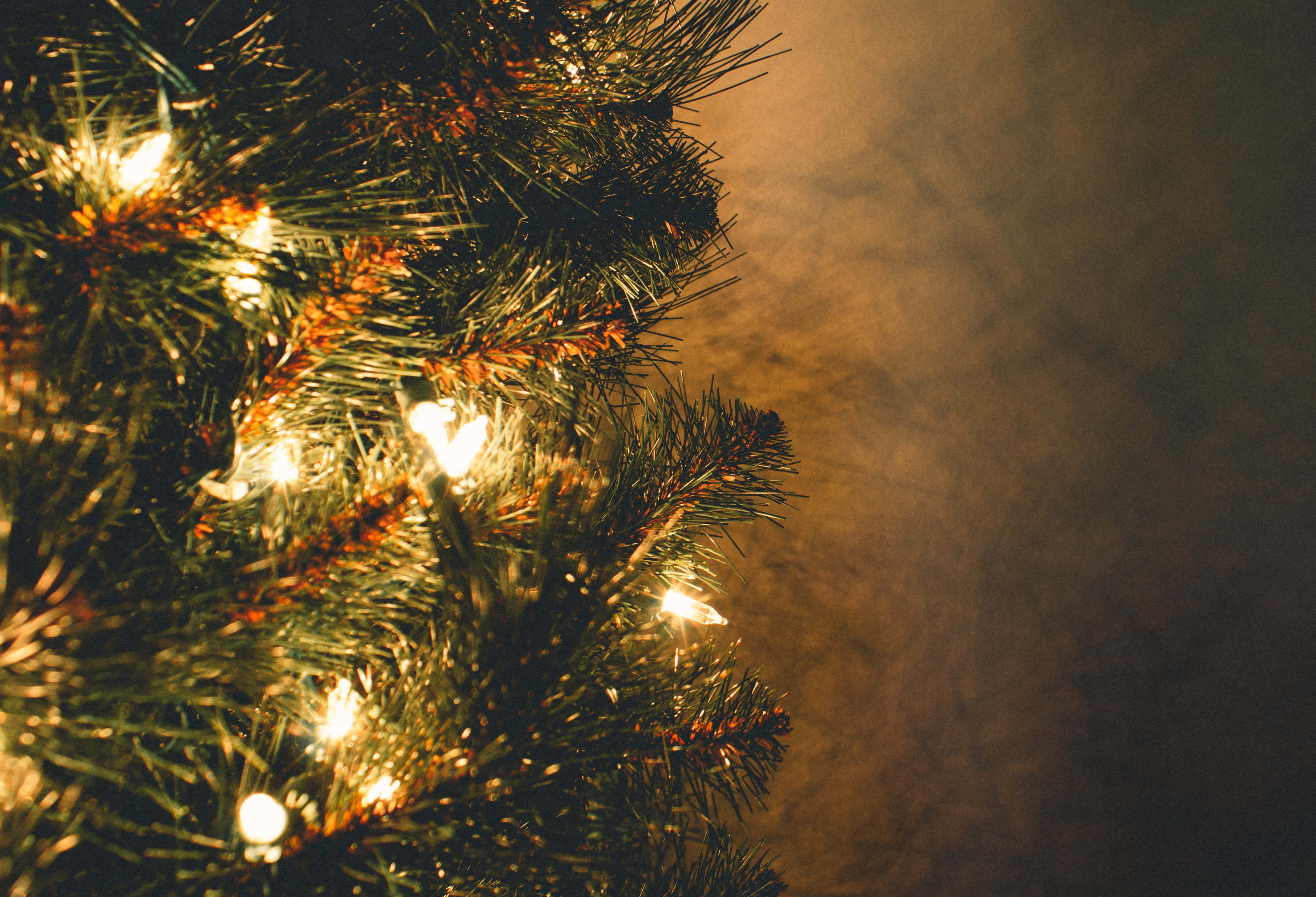 Fortryllende julemotiv Bakgrunner