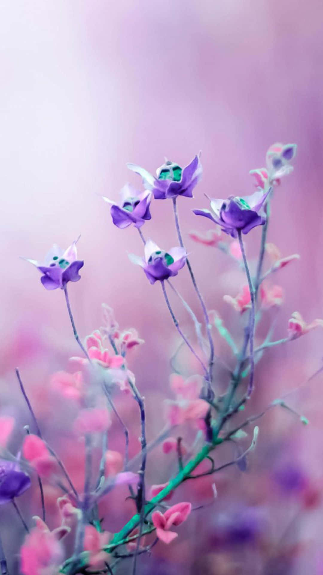 Fortryllende rosa blomsterbakgrunn Bakgrunner