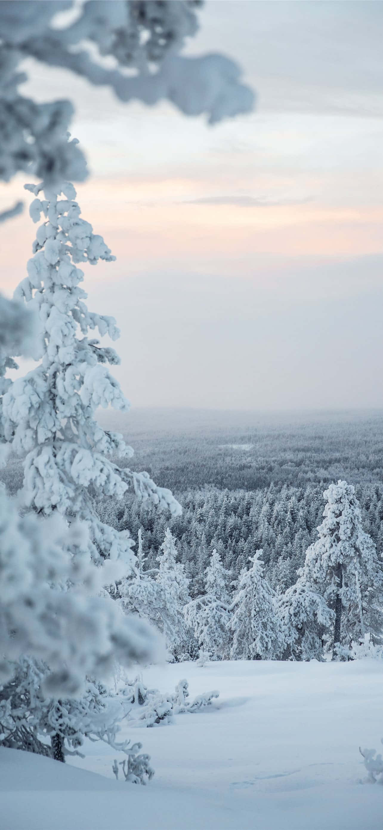 Fredelig snøpanorama Bakgrunner