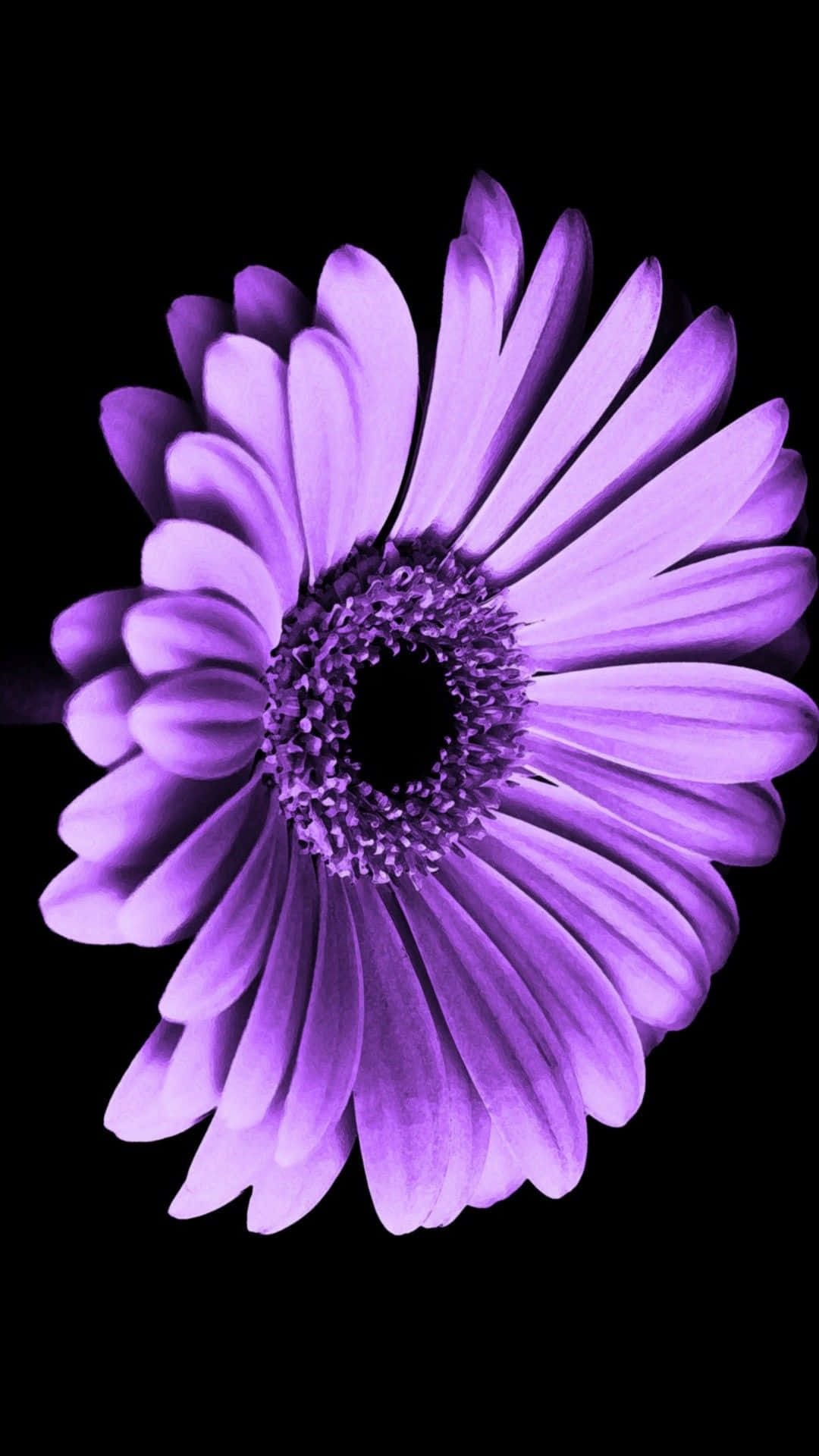 Frigjør livsgleden med dette blomster-iPhone-bakgrunnsbildet Bakgrunner