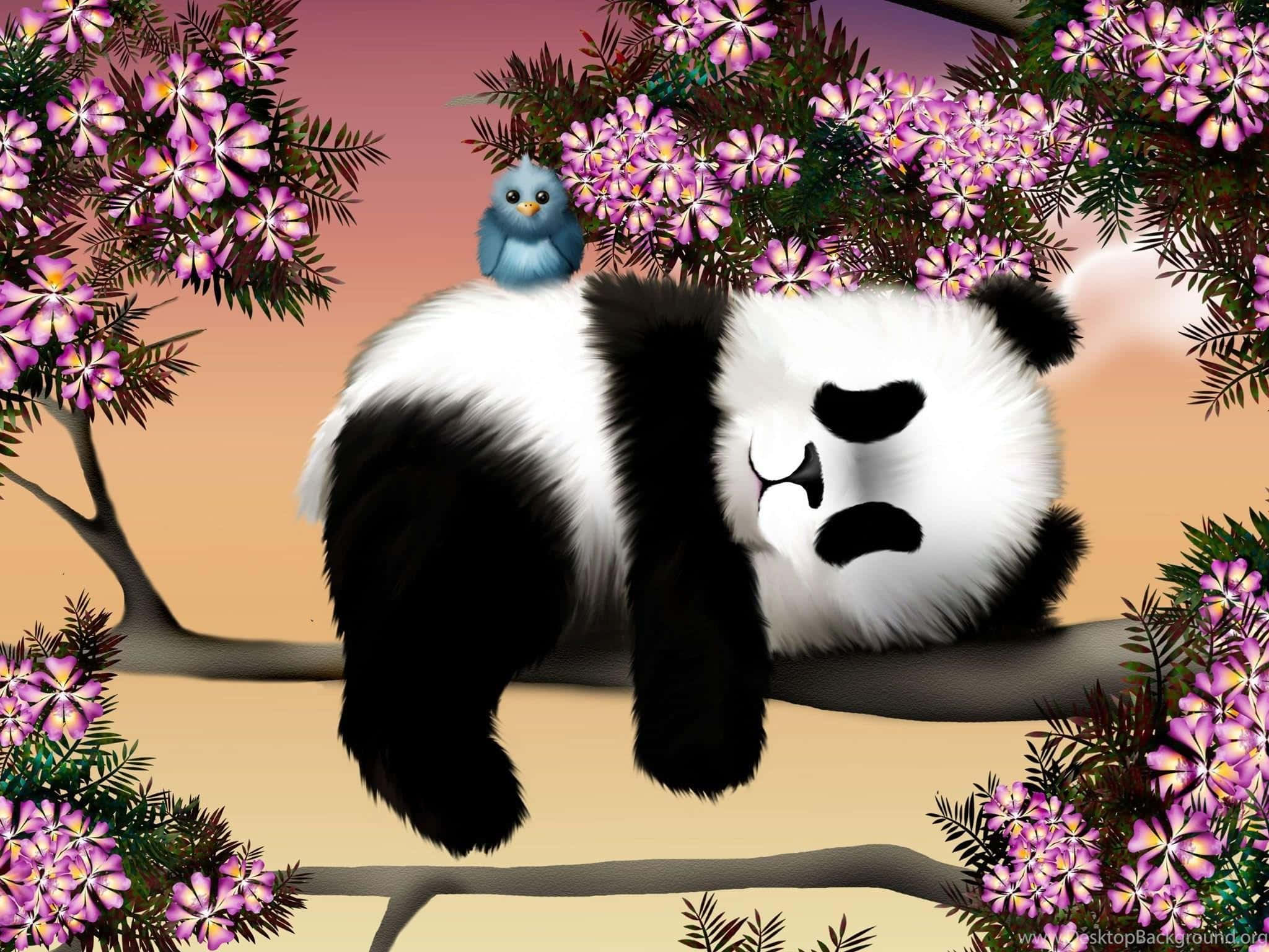 Fugl på en panda-laptop Bakgrunner