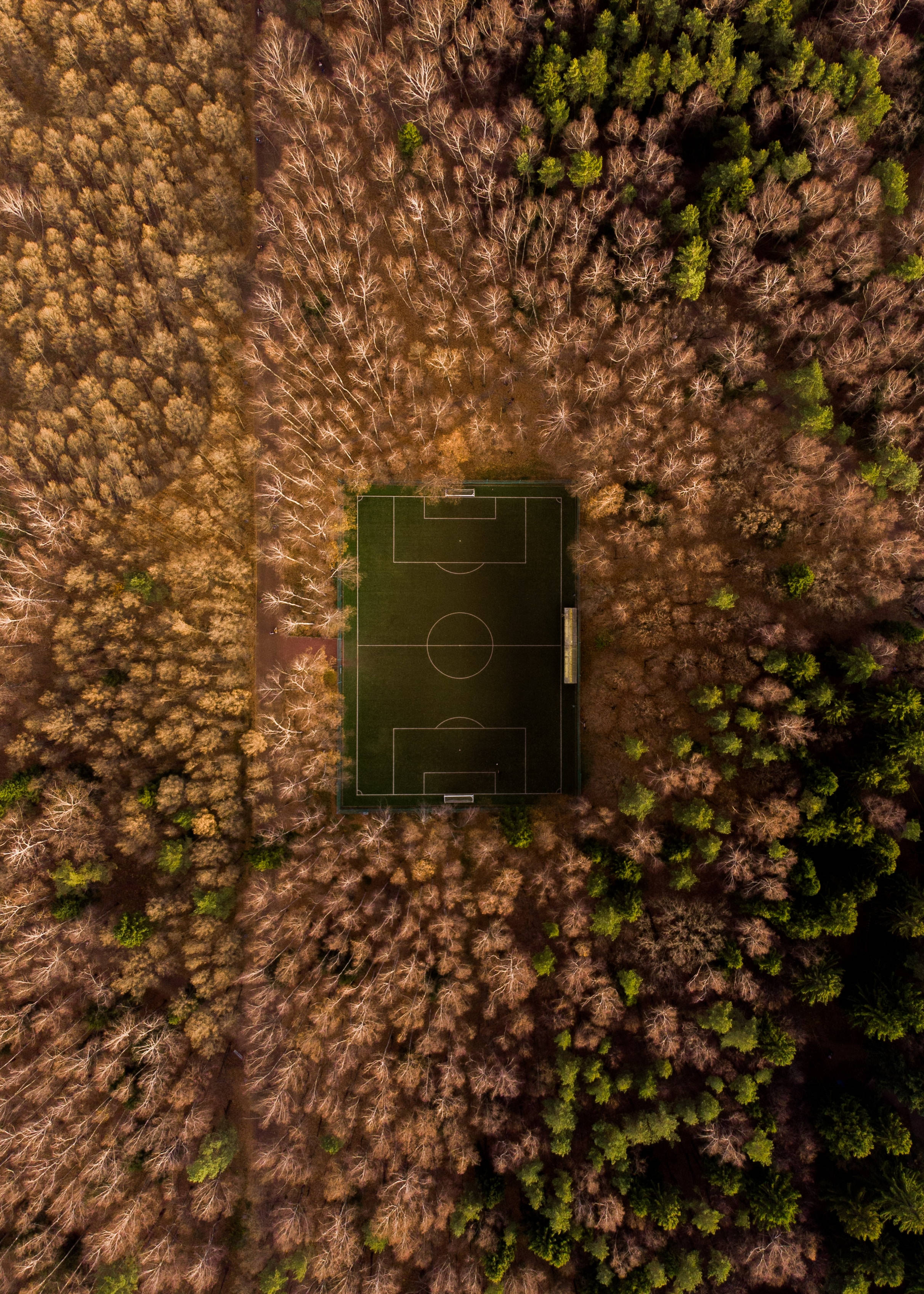 Fugleperspektiv av en fotballbane på en solrik dag Bakgrunner