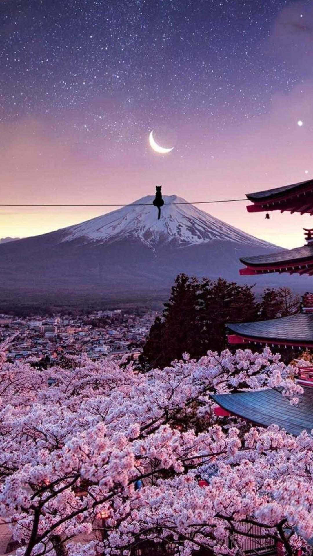 Fuji-fjellet og kirsebærblomster japansk iPhone Bakgrunner