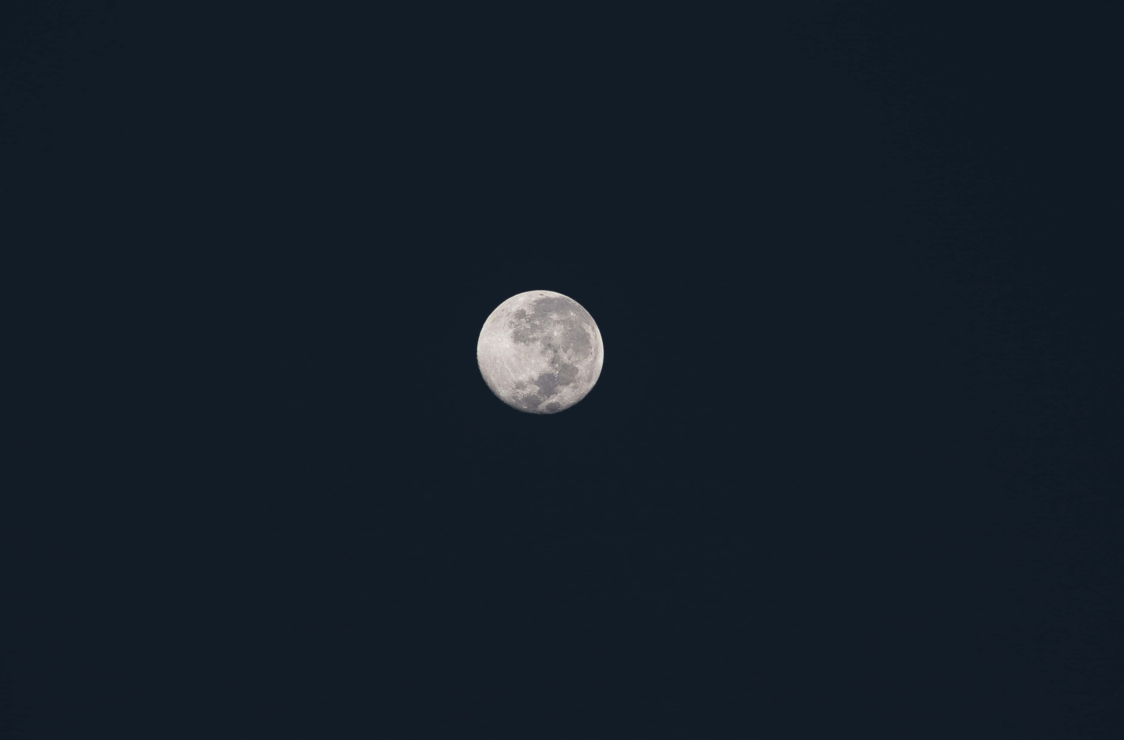 Fullmåne på mørk himmel Bakgrunner