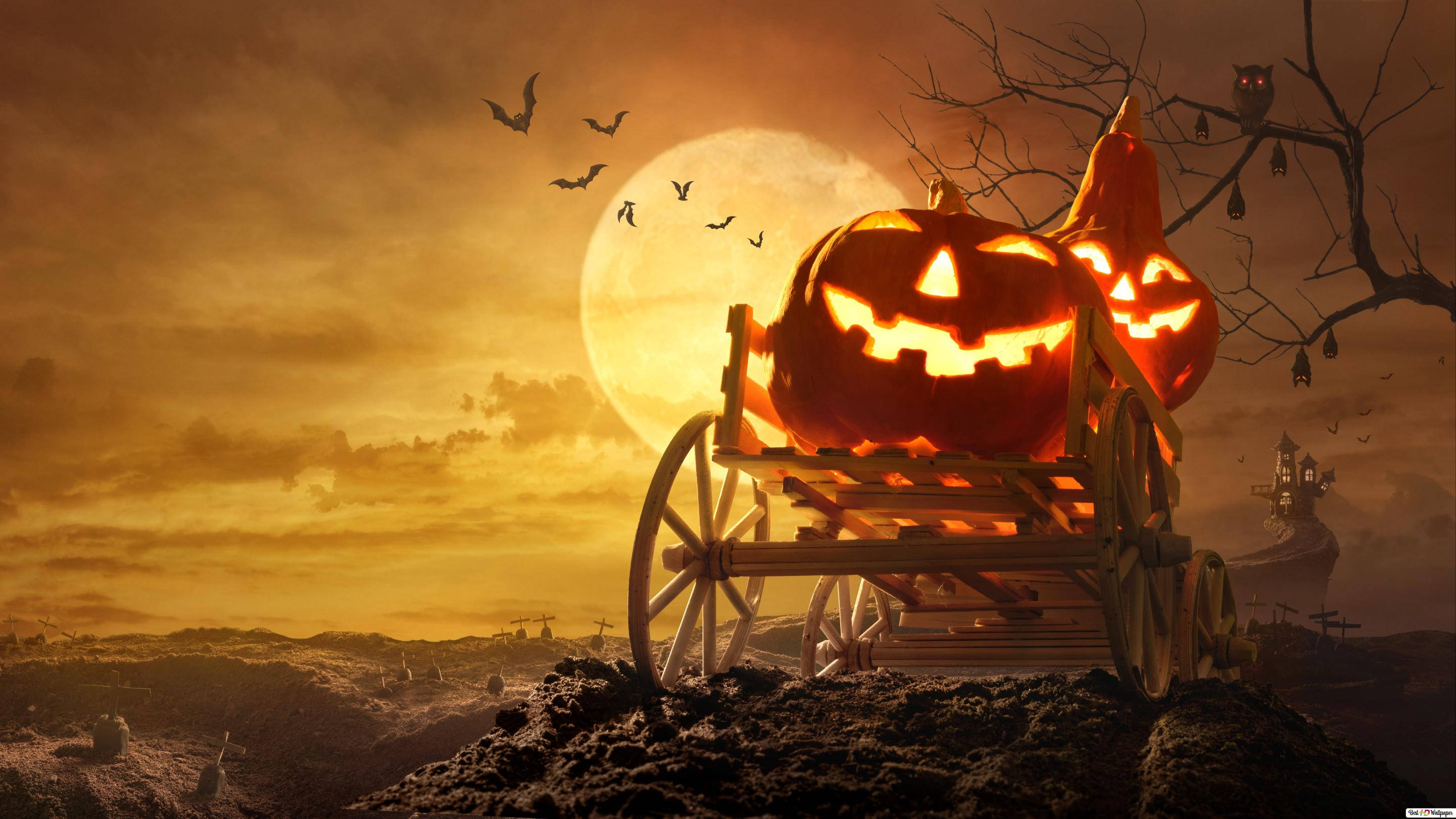 Fullmånegresskar Halloween iPhone Bakgrunner