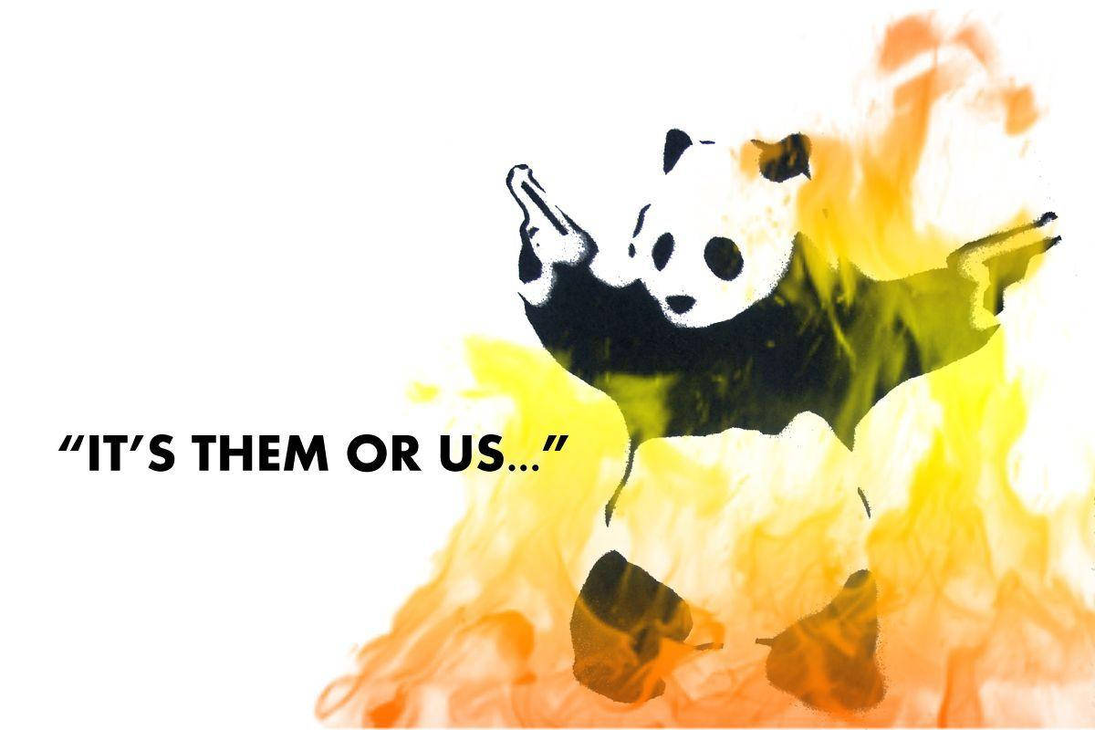 Gal panda flammememe Bakgrunner