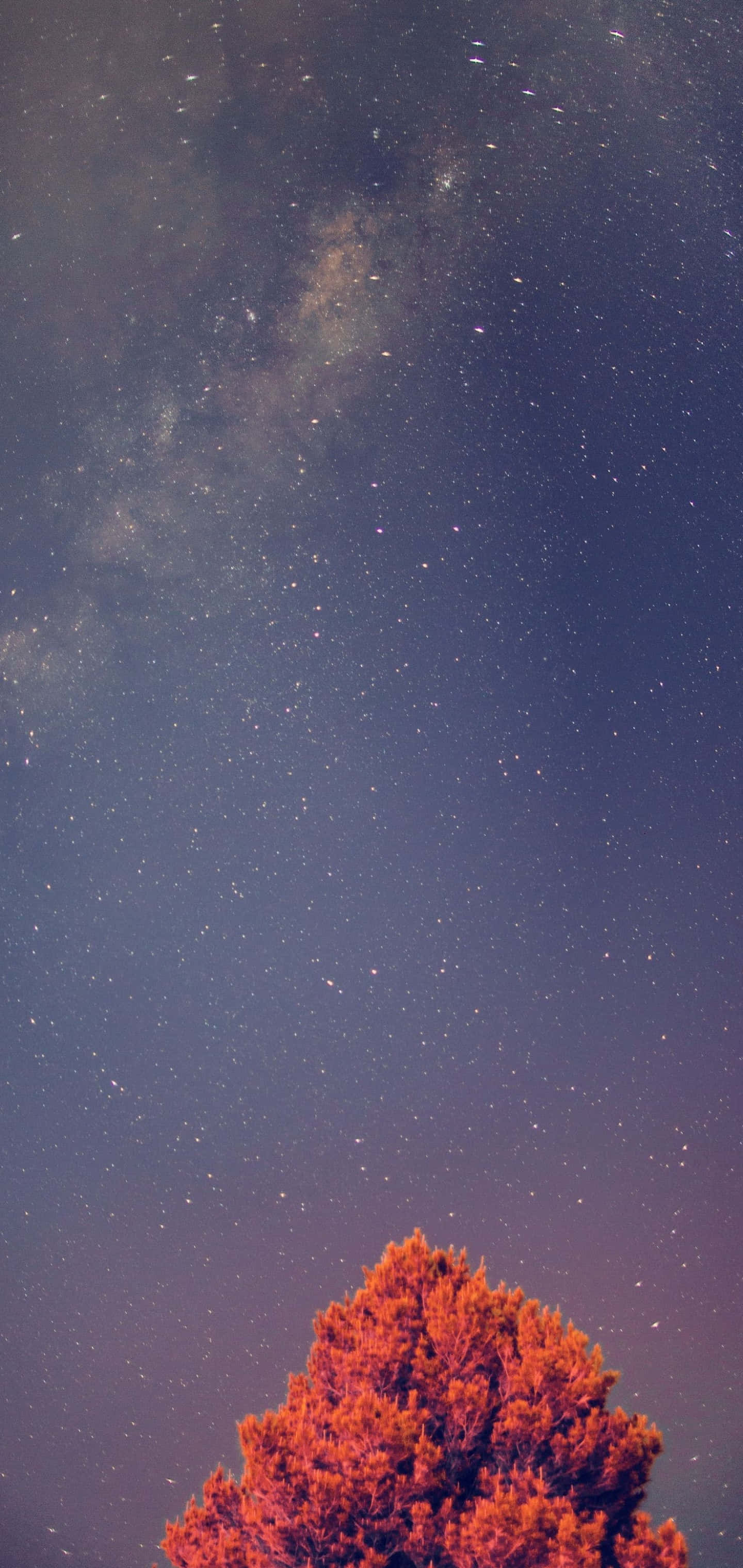 Galaxy S10 Plus bakgrunn Bakgrunner