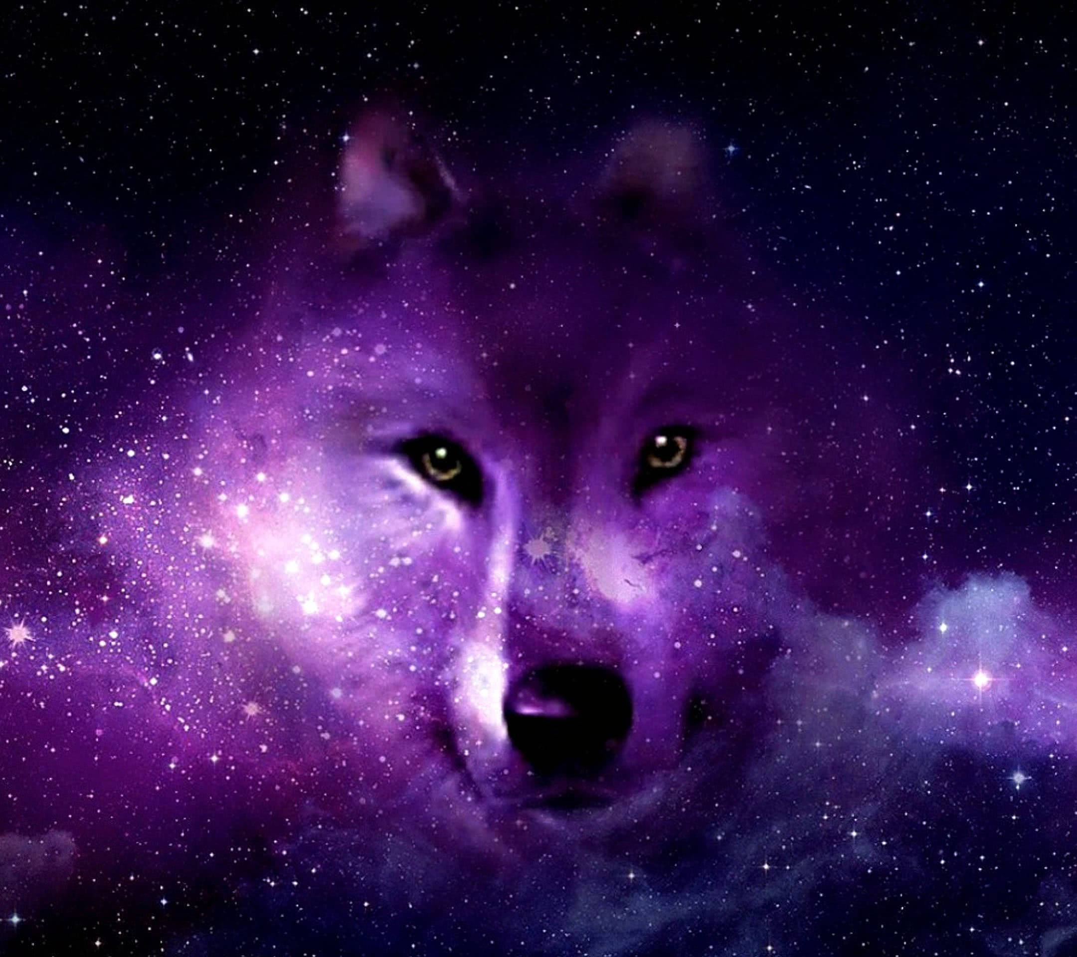 Galaxy Wolf estetisk kunst Bakgrunner