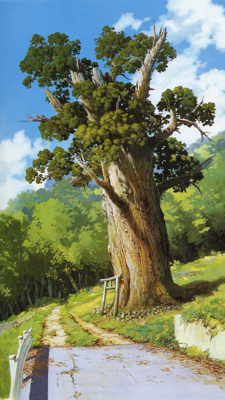 Gammelt tre Studio Ghibli-telefon Bakgrunner