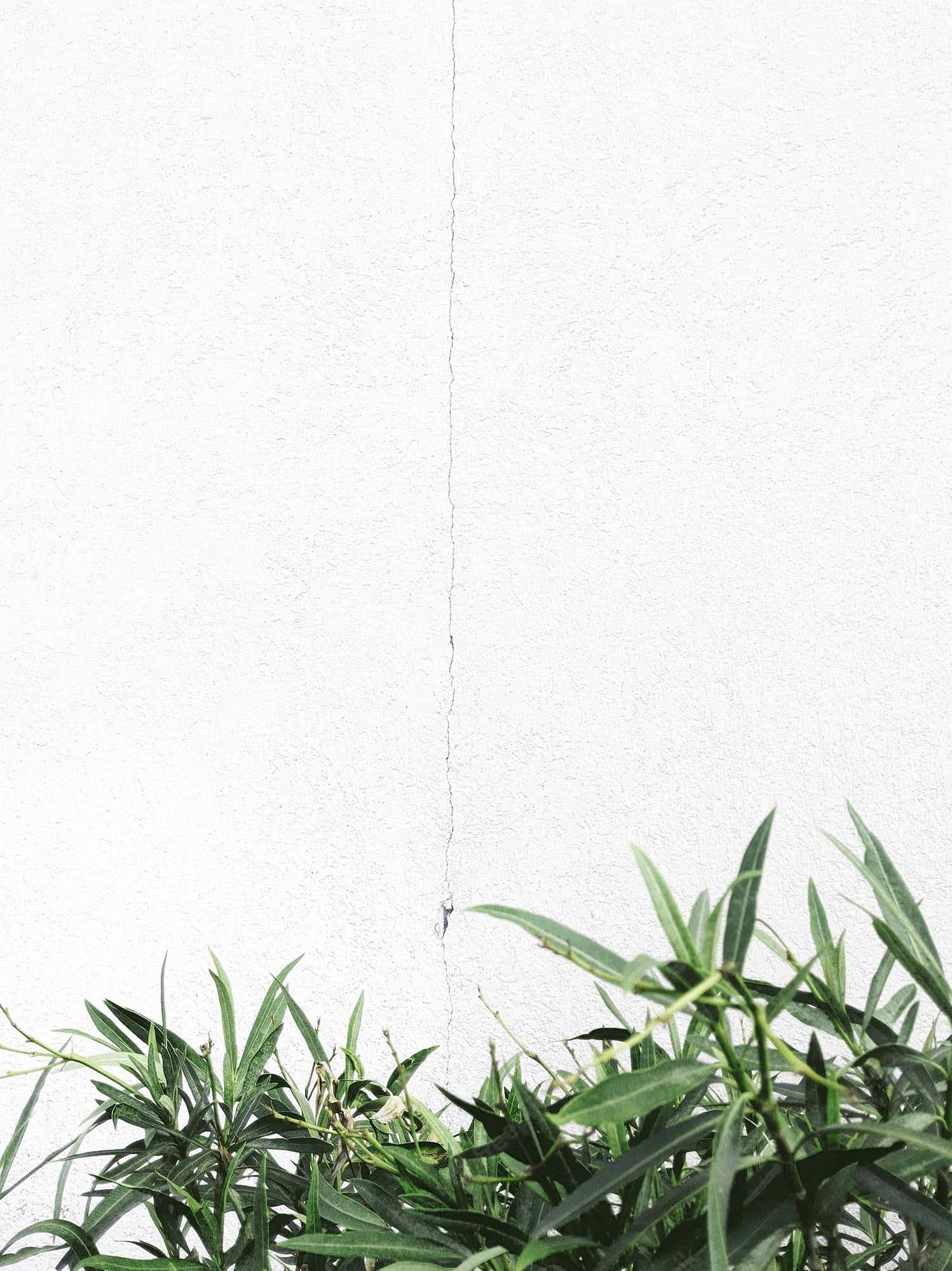 "Gi rommet ditt et friskt, minimalistisk uttrykk med denne kunstneriske bakgrunnen" Bakgrunner
