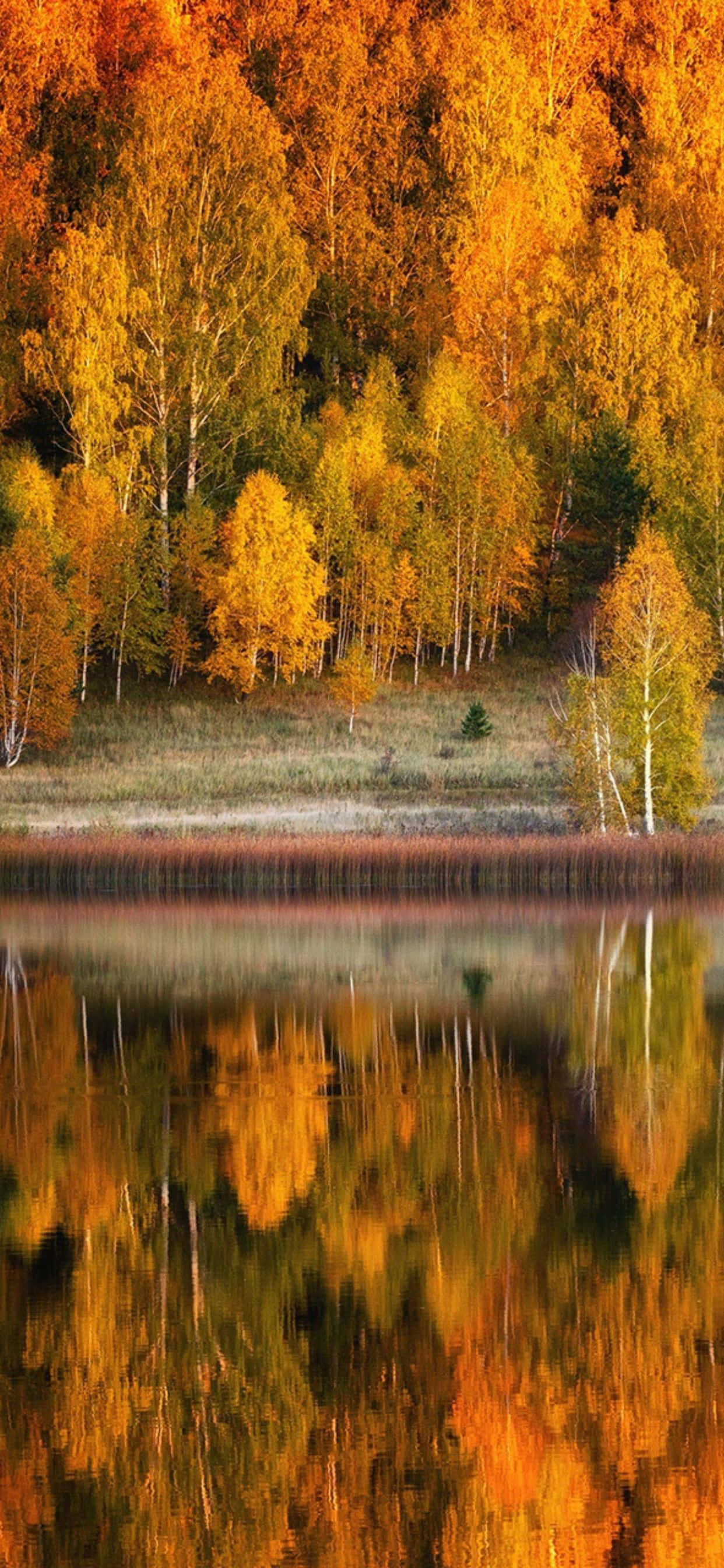 Gjør deg klar for høsten med Apple iPhone XS Max Bakgrunner