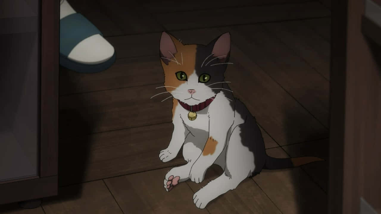Gjør deg klar til å smile med denne søte animekatten Bakgrunner