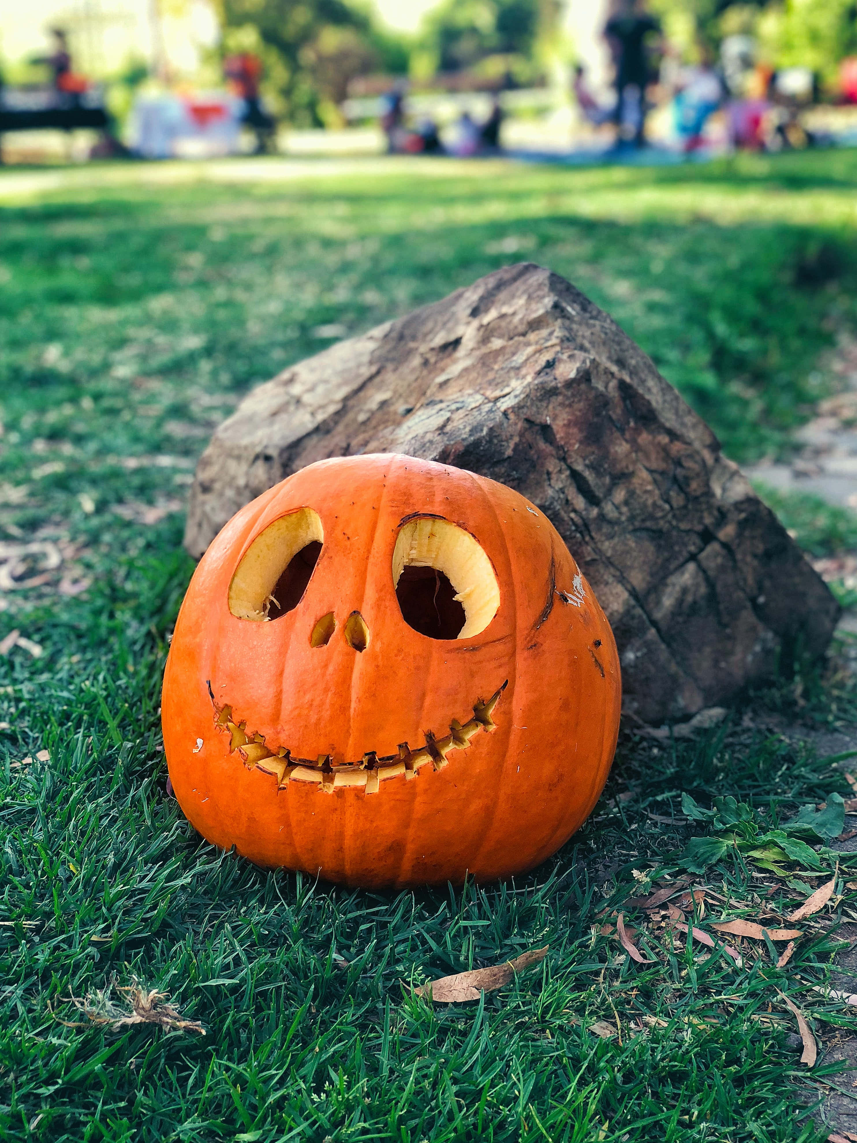 Glad jack-o'-lanterne i høy oppløsning Halloween-bakgrunn Bakgrunner