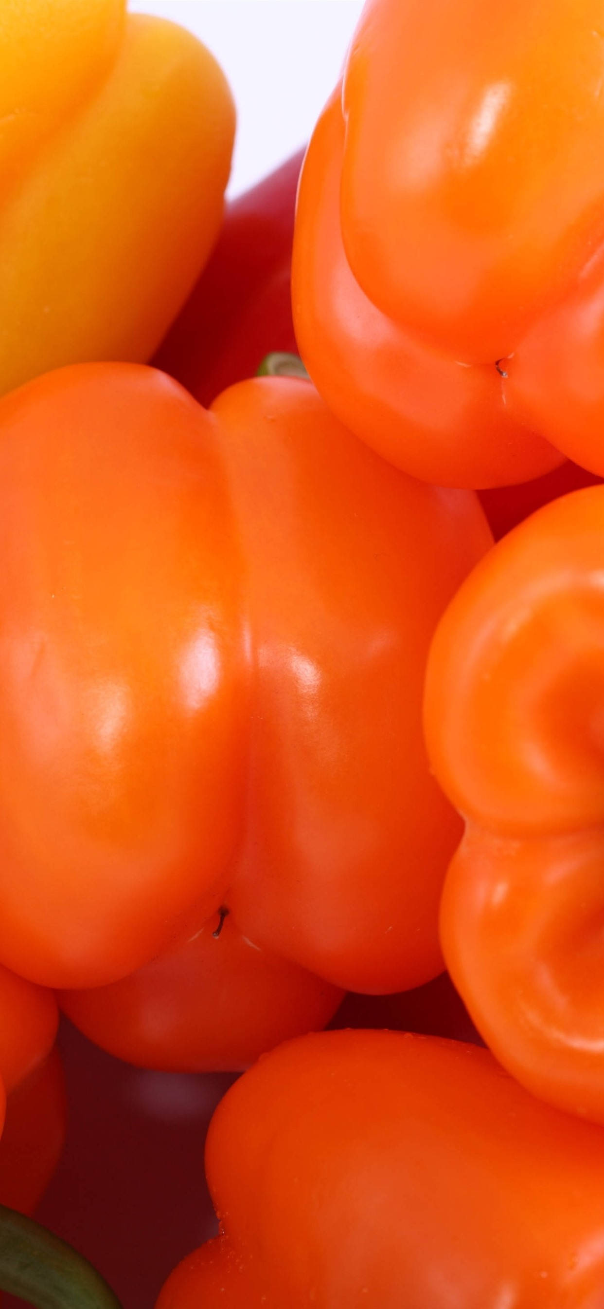 Glatte Oransje Paprika Bakgrunner