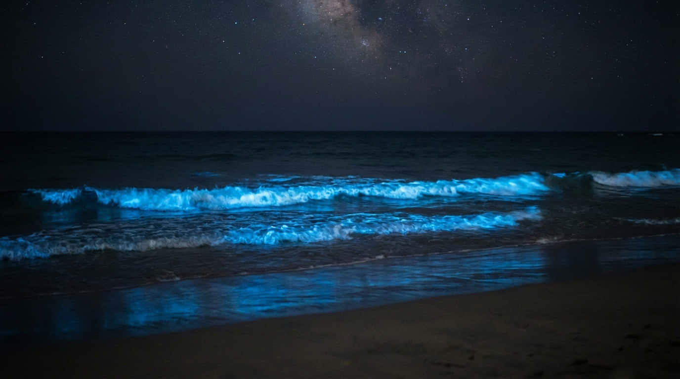 4K nattlig hav, blå bølger om natten, nattlig hav-bakgrunn, melkeveistrand, glødende strand, bioluminescerende bølger, Natur 4K, Natur, Strand, Havbakgrunn, Hav