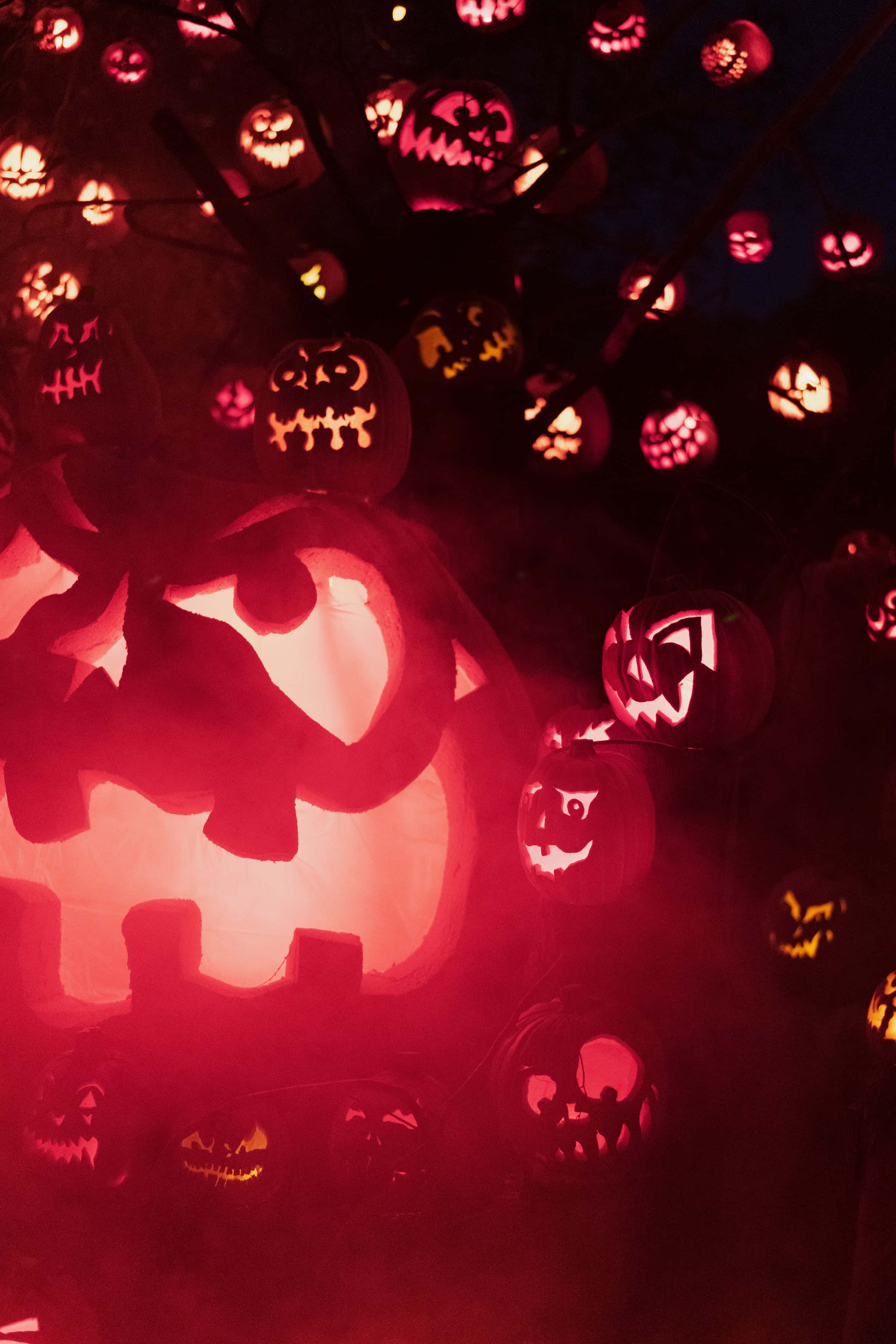 Glødende Jack-O-Lanterne Høyoppløselig Halloween Bakgrunn Bakgrunner