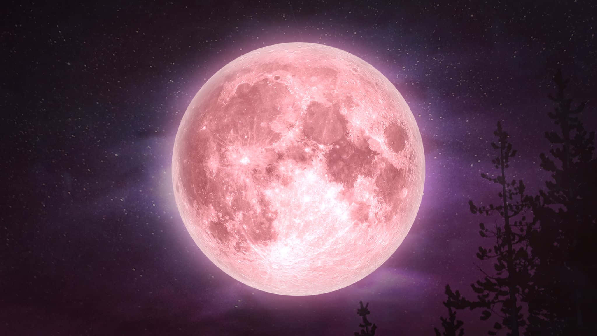 Glødende rosa måne på mørk himmel Bakgrunner