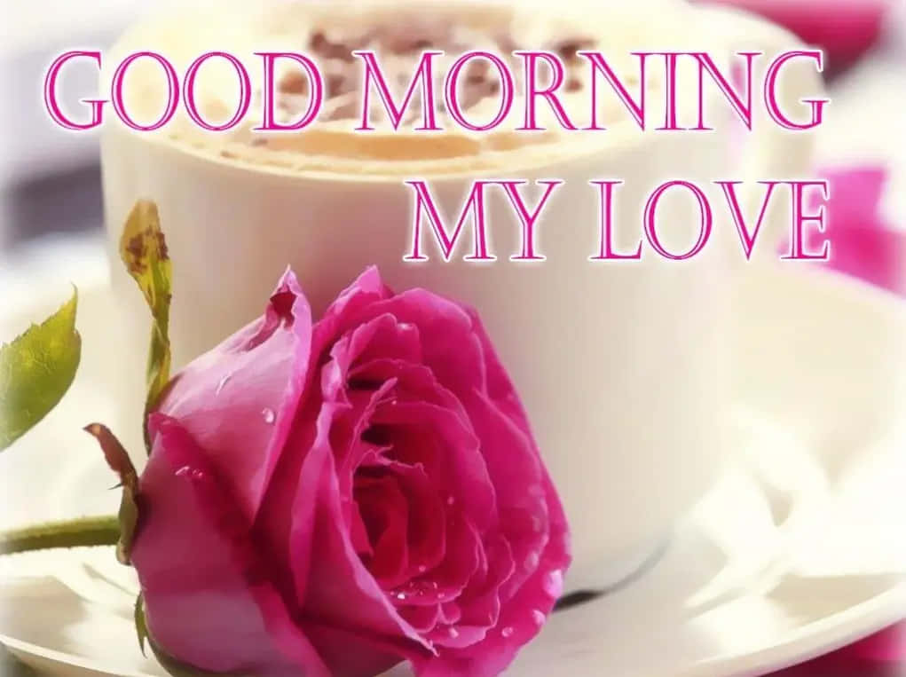 God morgen min elskede romantisk kaffe og rose Bakgrunner