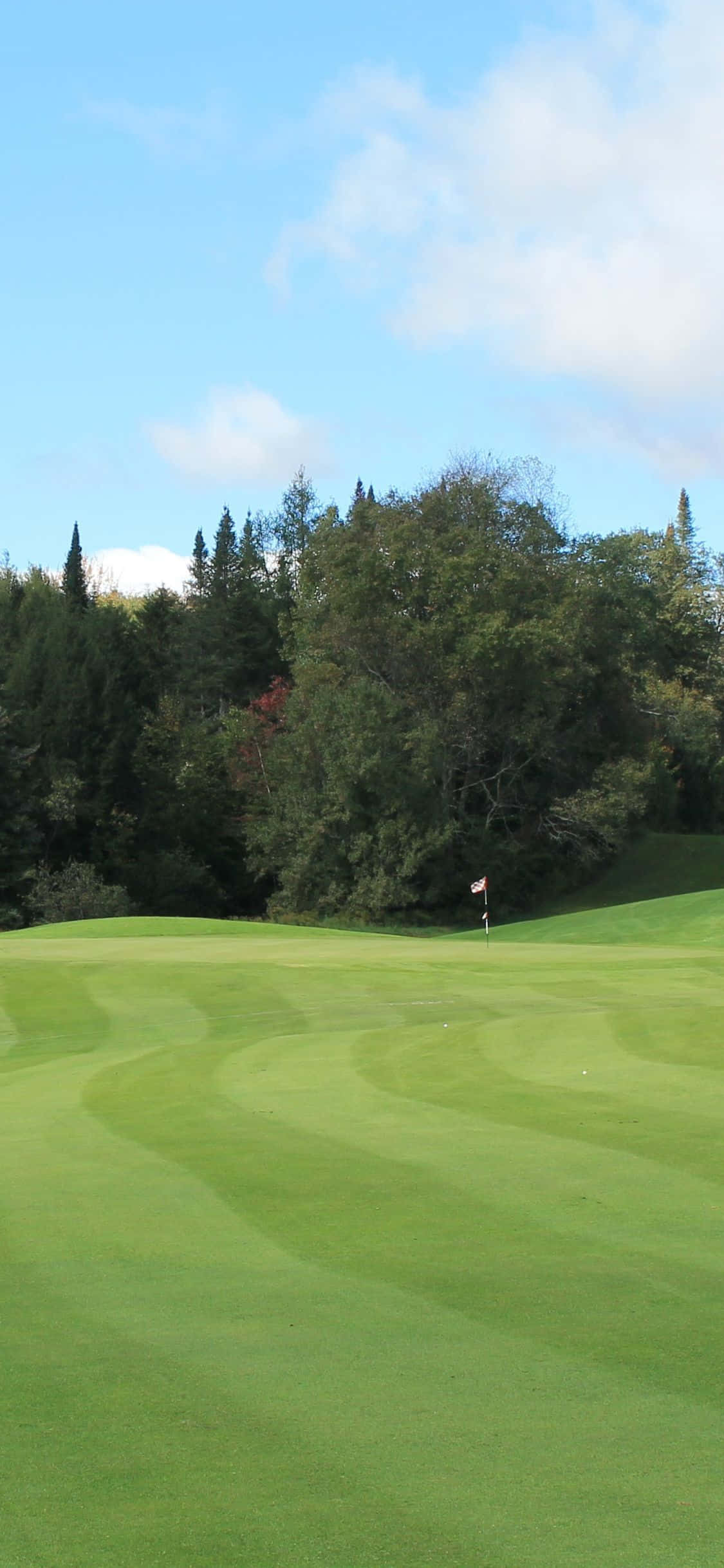 Golf på en rolig golfbane med iPhone X Bakgrunner
