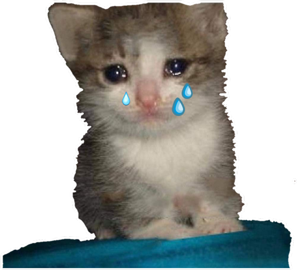 Gråtende kattunge-meme.PNG Bakgrunner