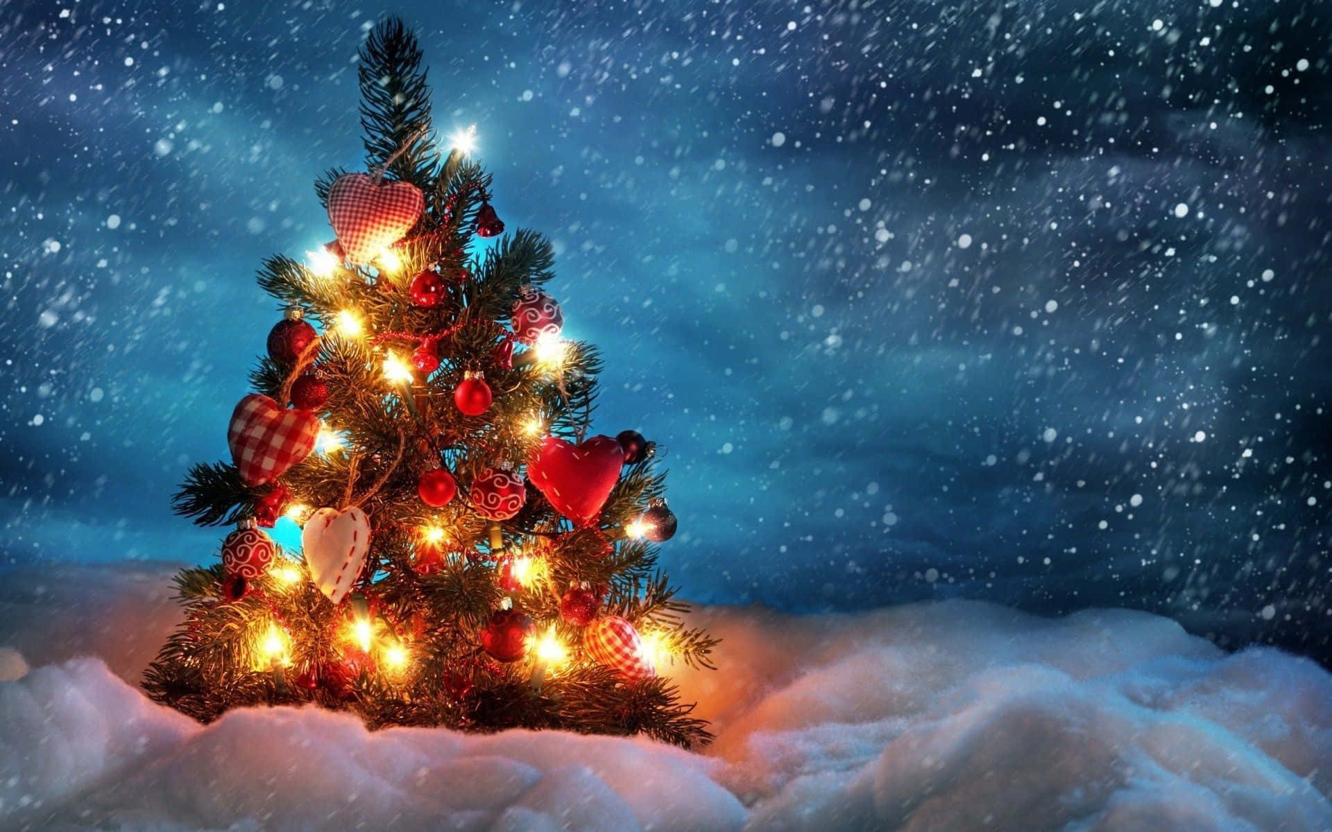 Gratis Julegran Snø Natt Bilde Bakgrunner
