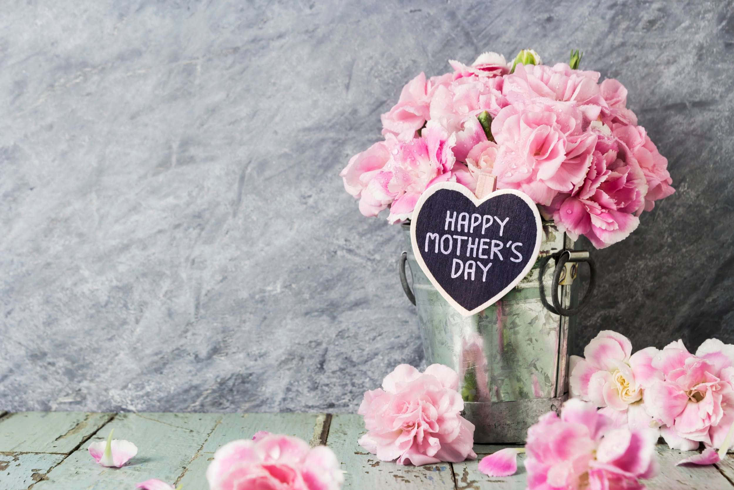 gratulerer med morsdag med rosa blomster i en bøtte Bakgrunner