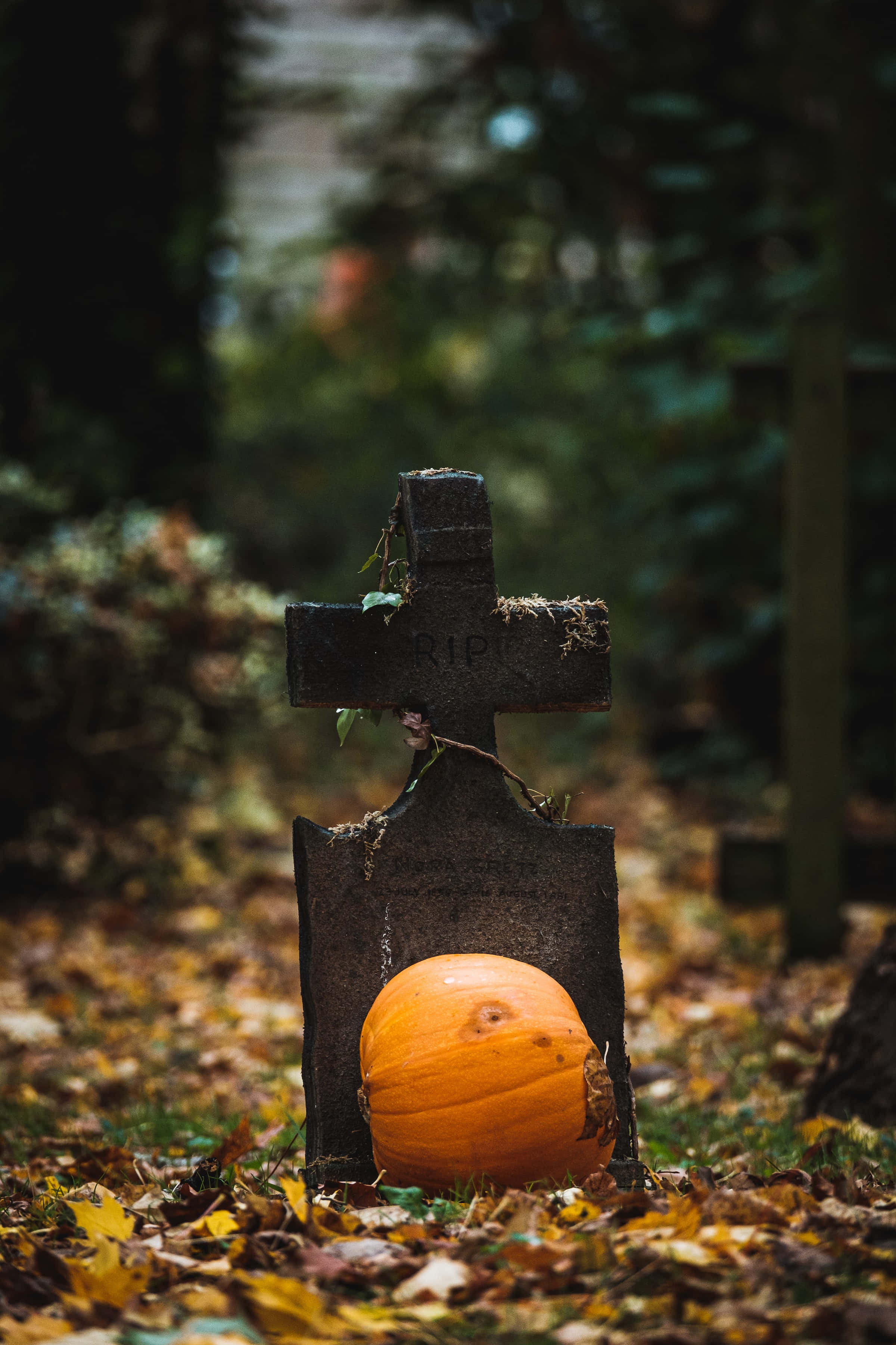 Gravplass Høyoppløselig Halloween Bakgrunn Bakgrunner