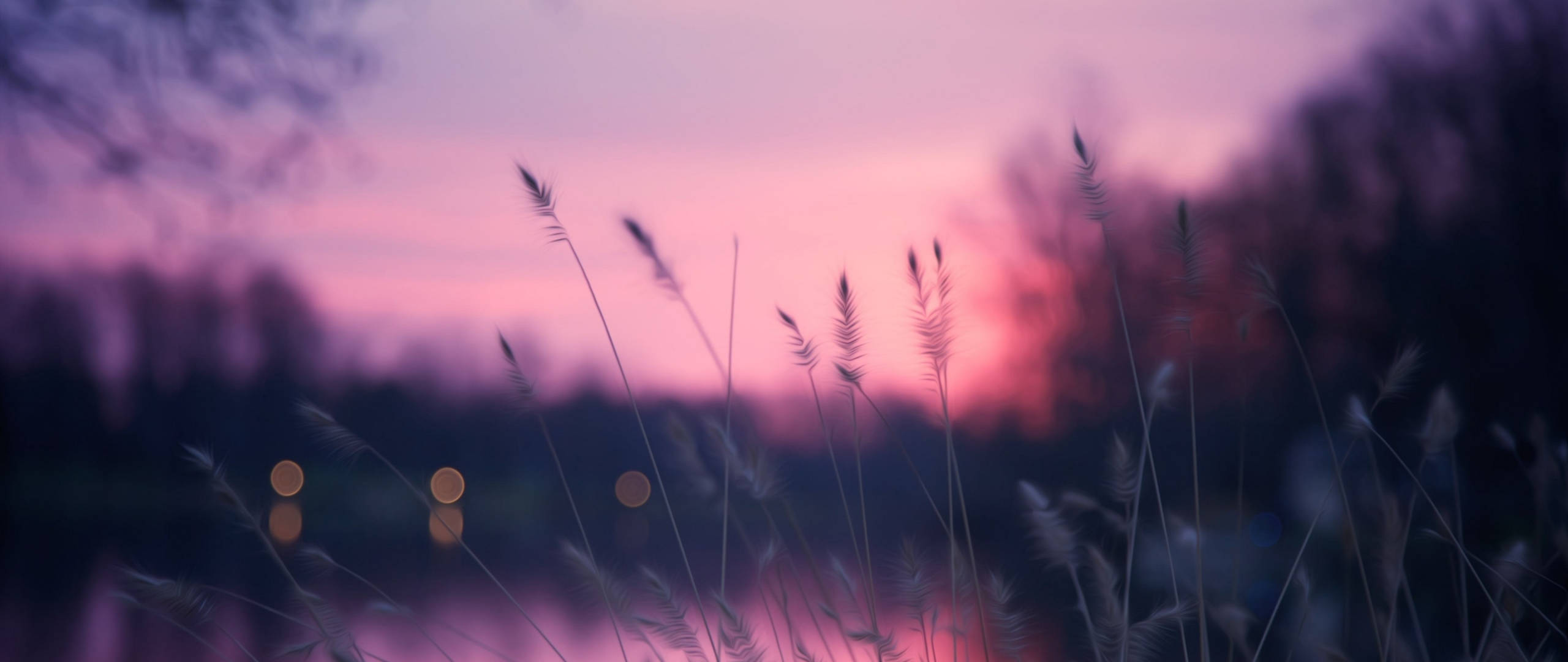 Gress under solnedgangshimmel Pinterest Laptop Bakgrunner