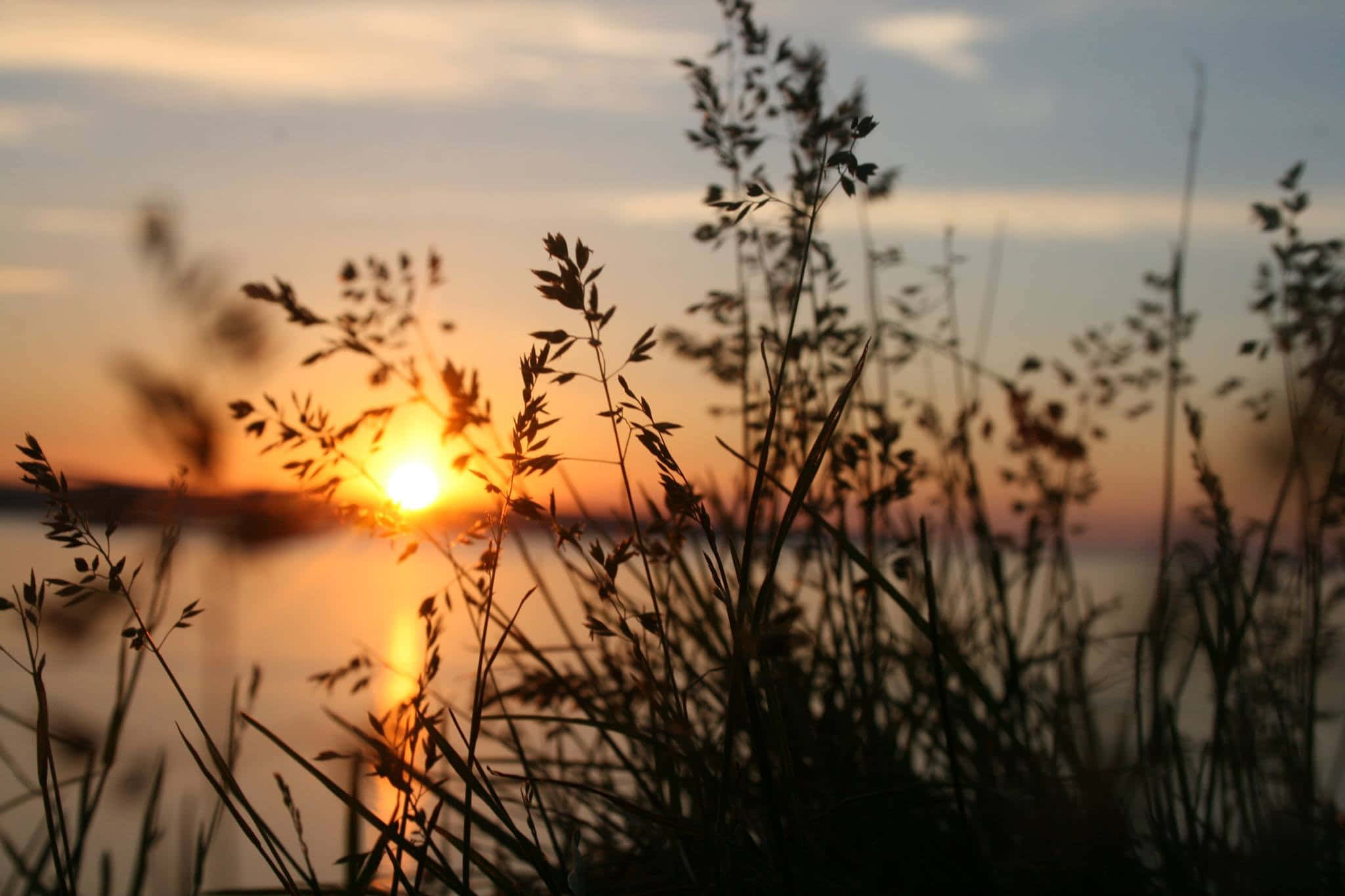 Grip dagen: En vakker solnedgang Bakgrunner