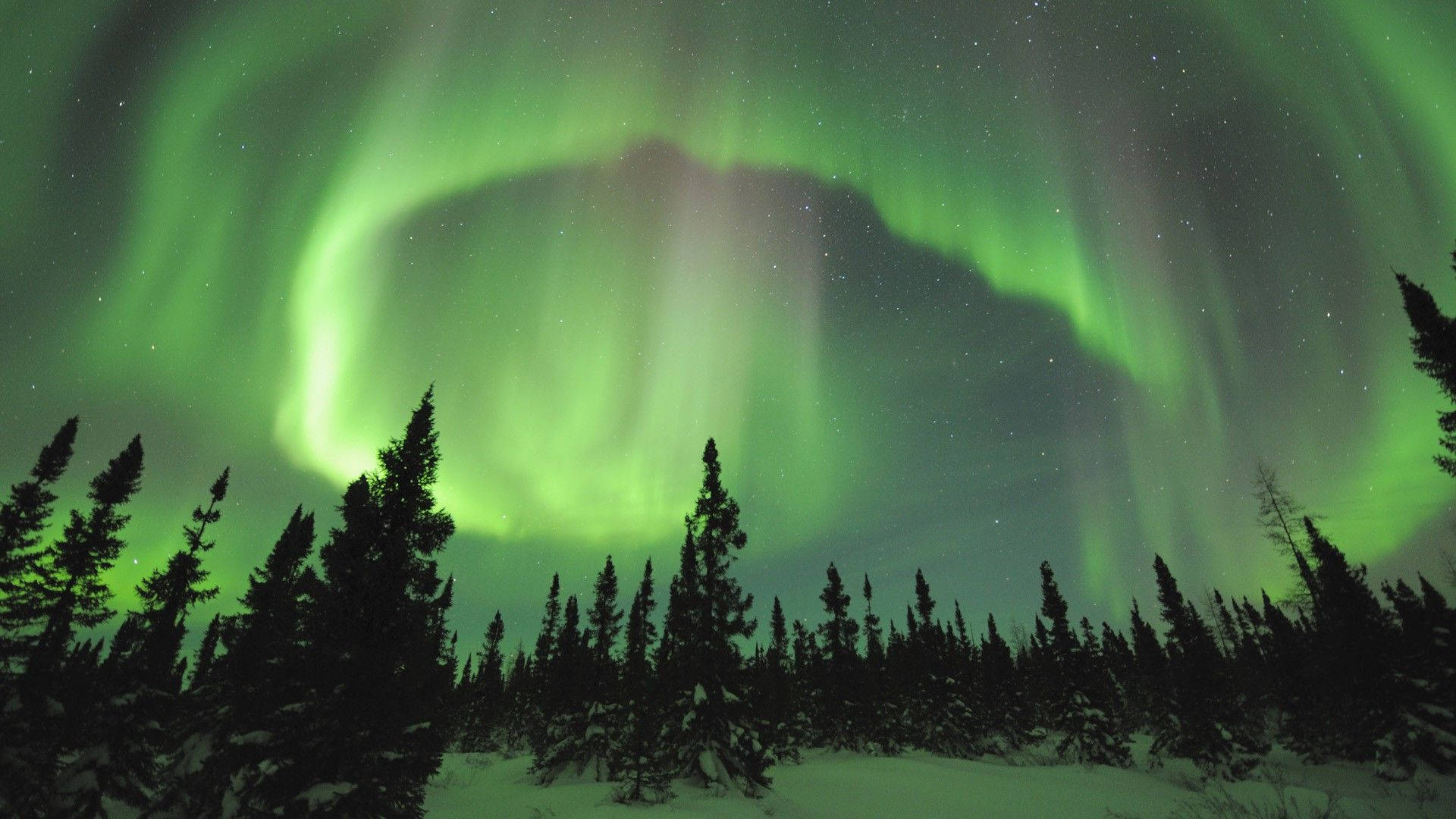 Grønn himmel med nordlys Bakgrunner