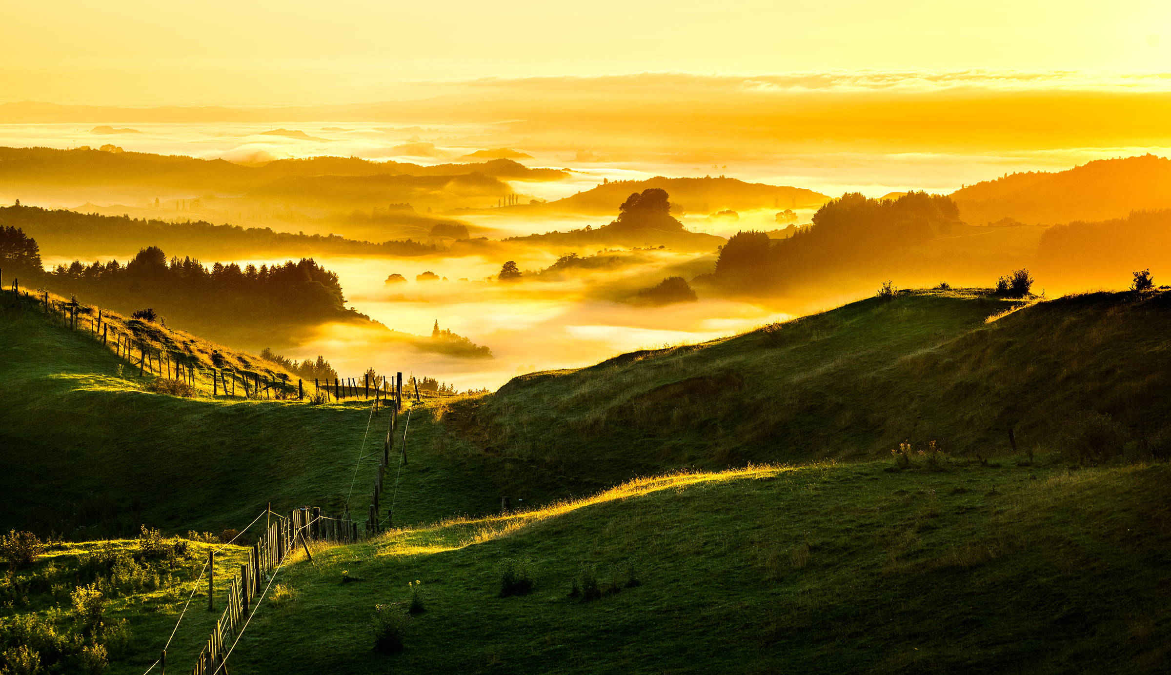 Grønne fjell under gyllen solnedgang Bakgrunner