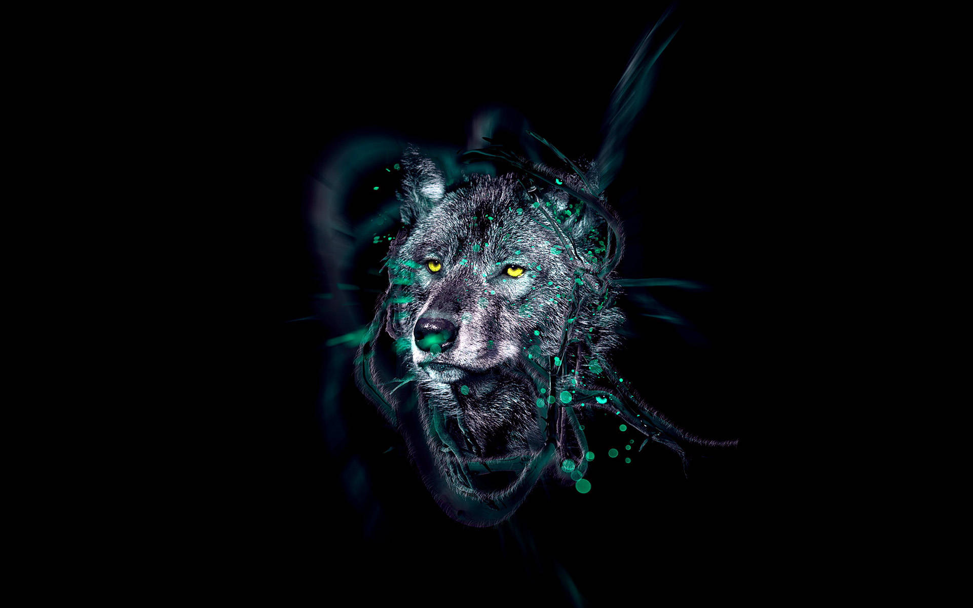 Grønn galakseulv digital kunst Bakgrunner