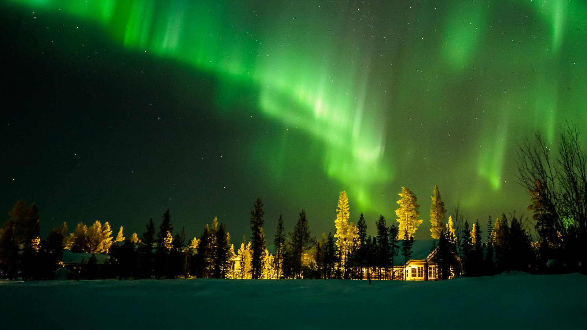 Grønn himmel med glødende lys Bakgrunner