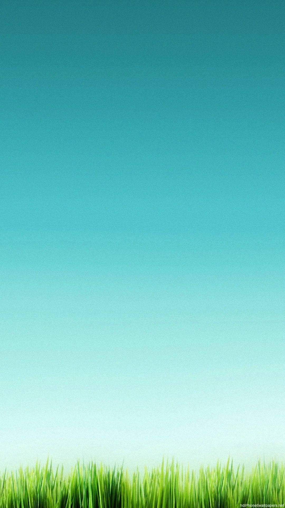 Grønn himmel og gress Bakgrunner