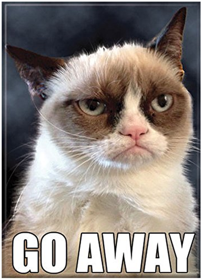 Grumpy Cat Gå Vekk Meme Bakgrunner