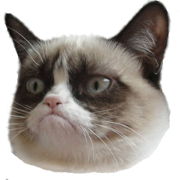 Grumpy Cat Hode Gjennomsiktig Bakgrunn.PNG Bakgrunner
