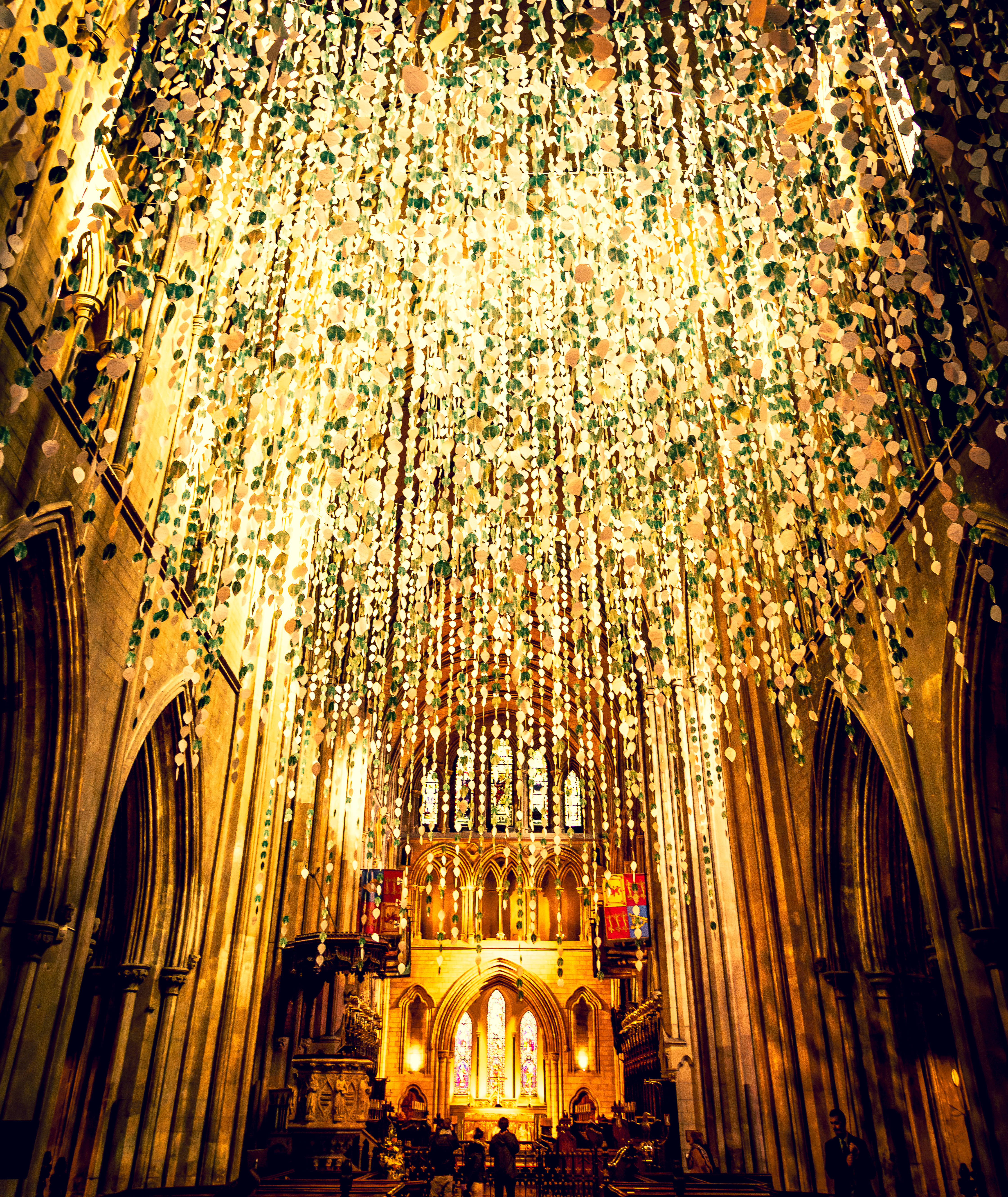 Gylne St. Patrick's Cathedral Irland Bakgrunner
