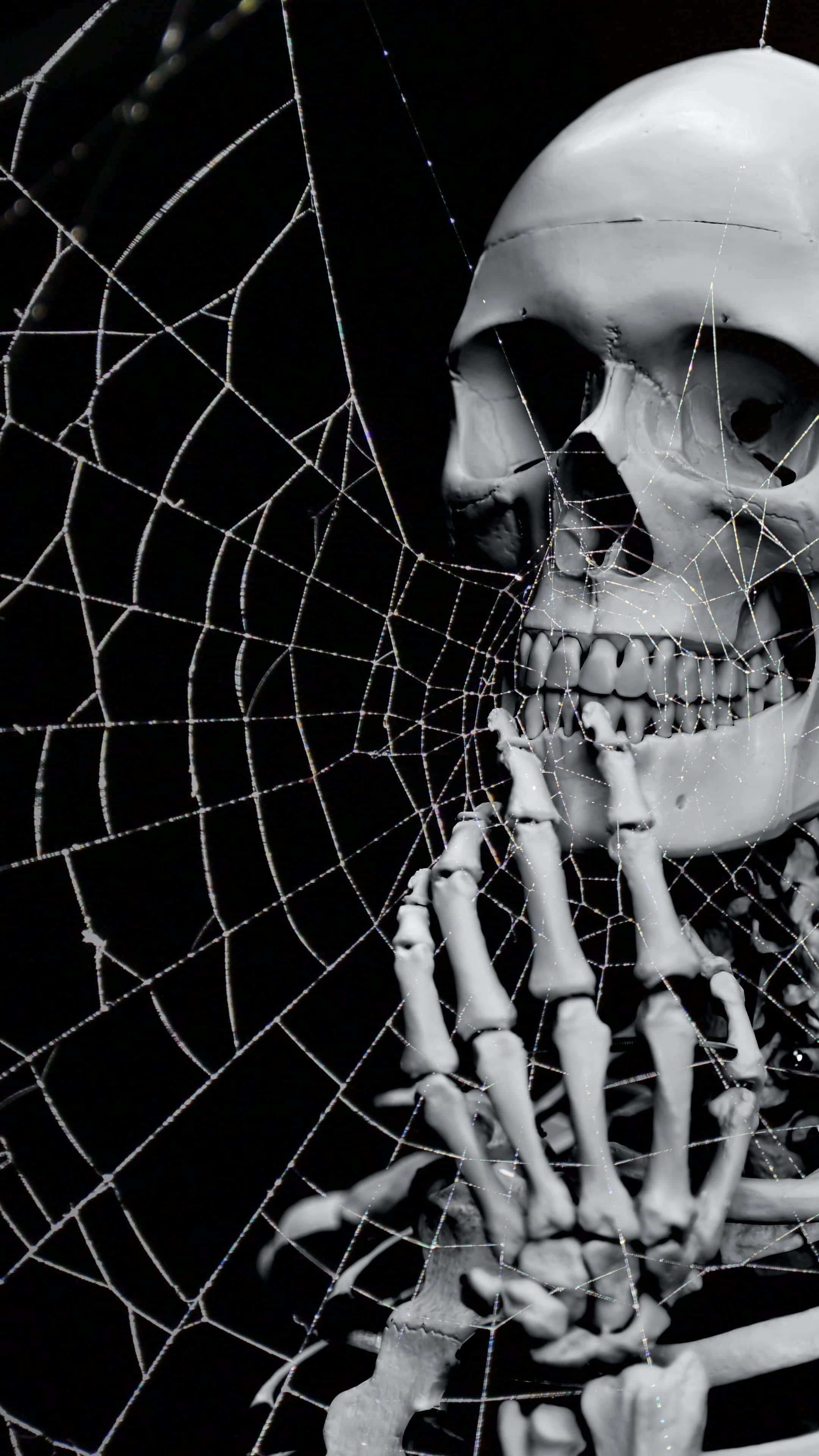 Halloween 2160 x 3840 bakgrunn Bakgrunner