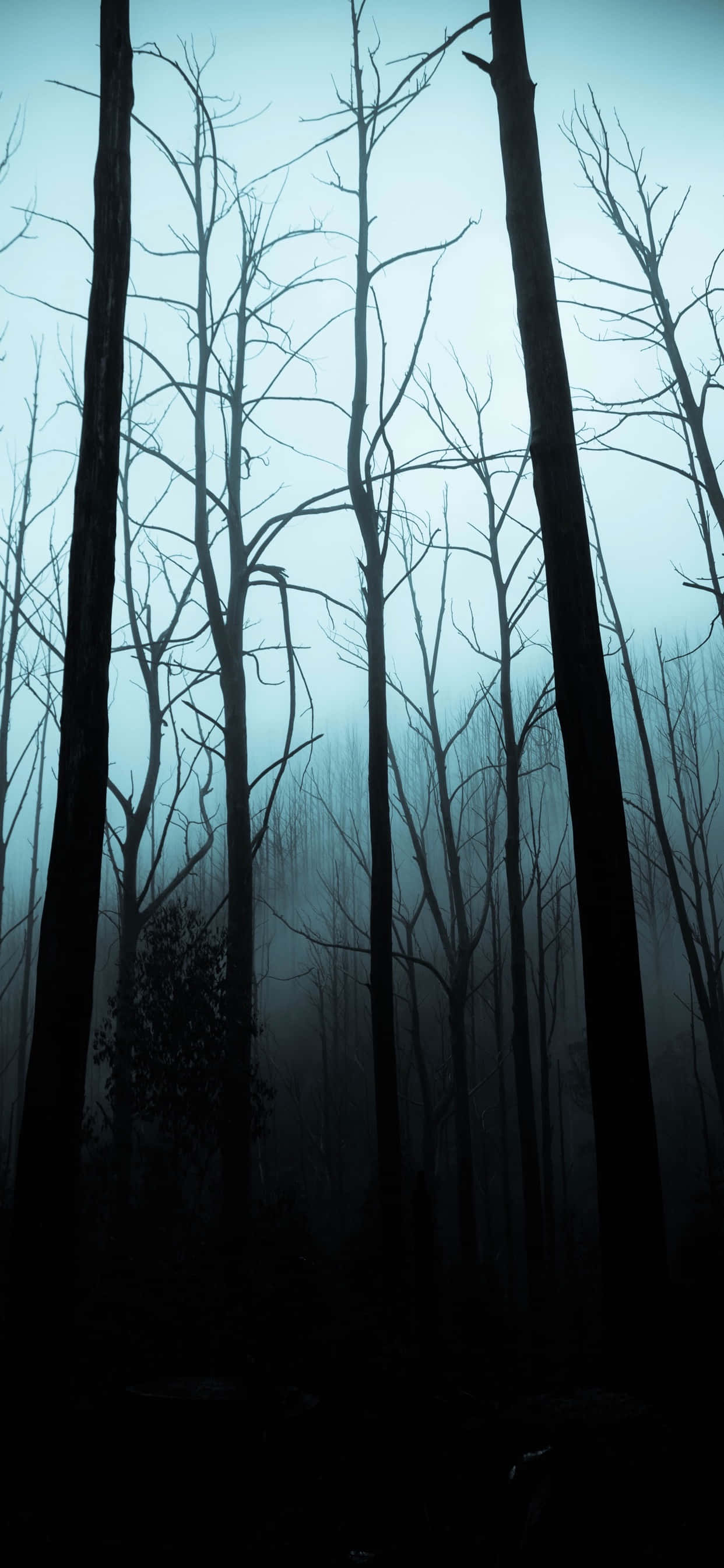 Halloween-bakgrunn for iPhone av en uhyggelig skog Bakgrunner