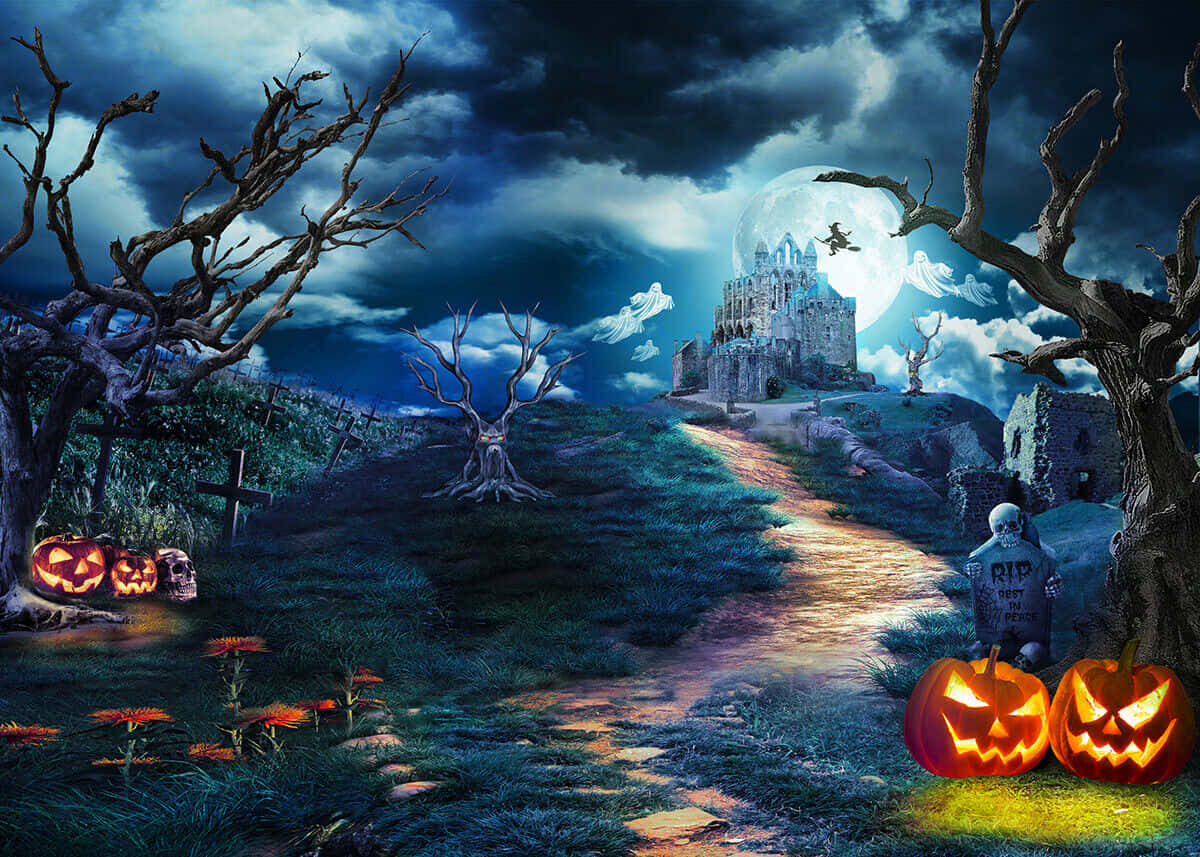 Halloween-gresskar langs veikanten Bakgrunner