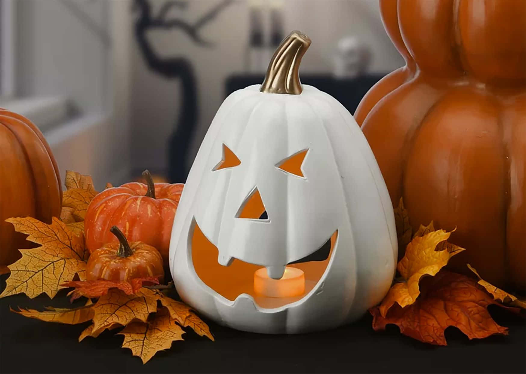 Halloween-gresskar bakgrunn hvitt ansikt Bakgrunner