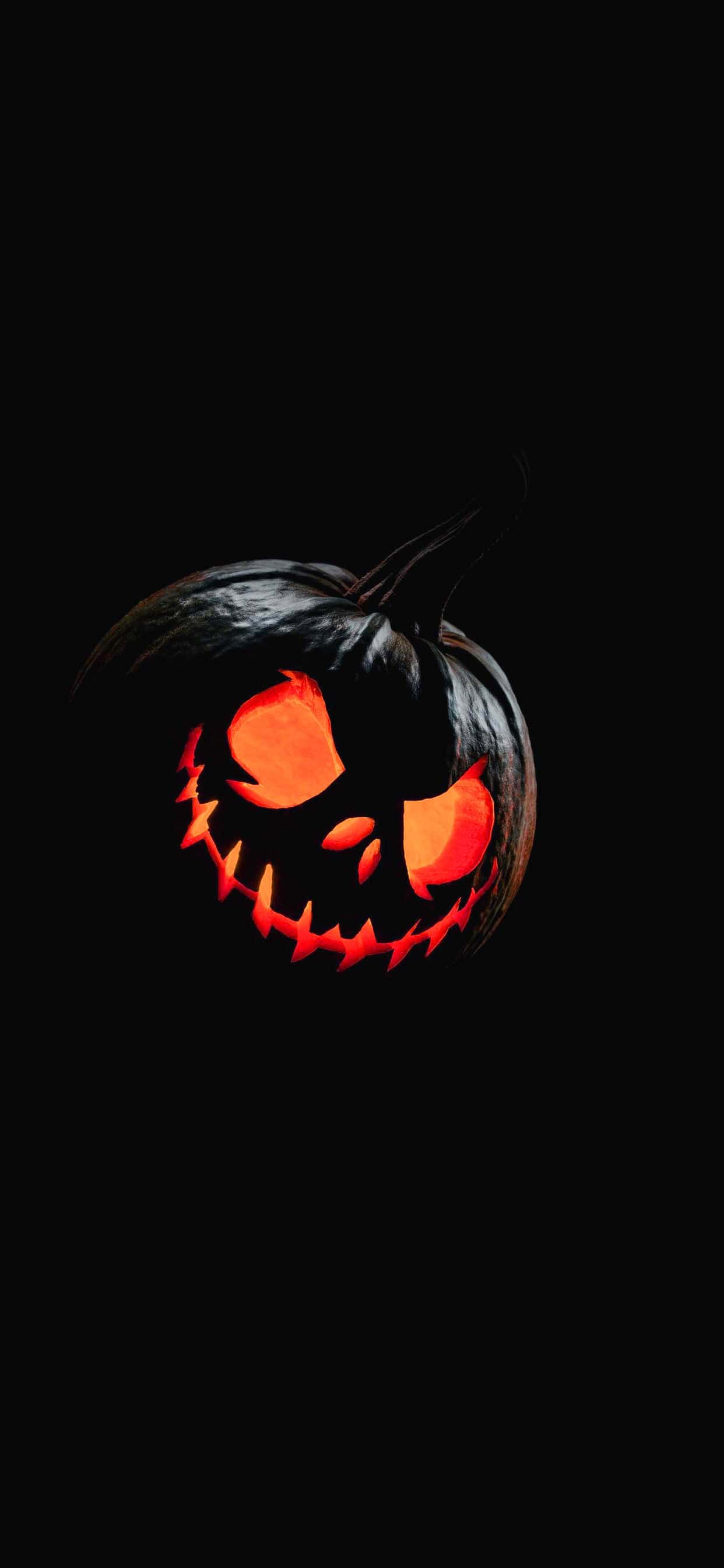 halloween gresskar bakgrunnsbilder HD Bakgrunner