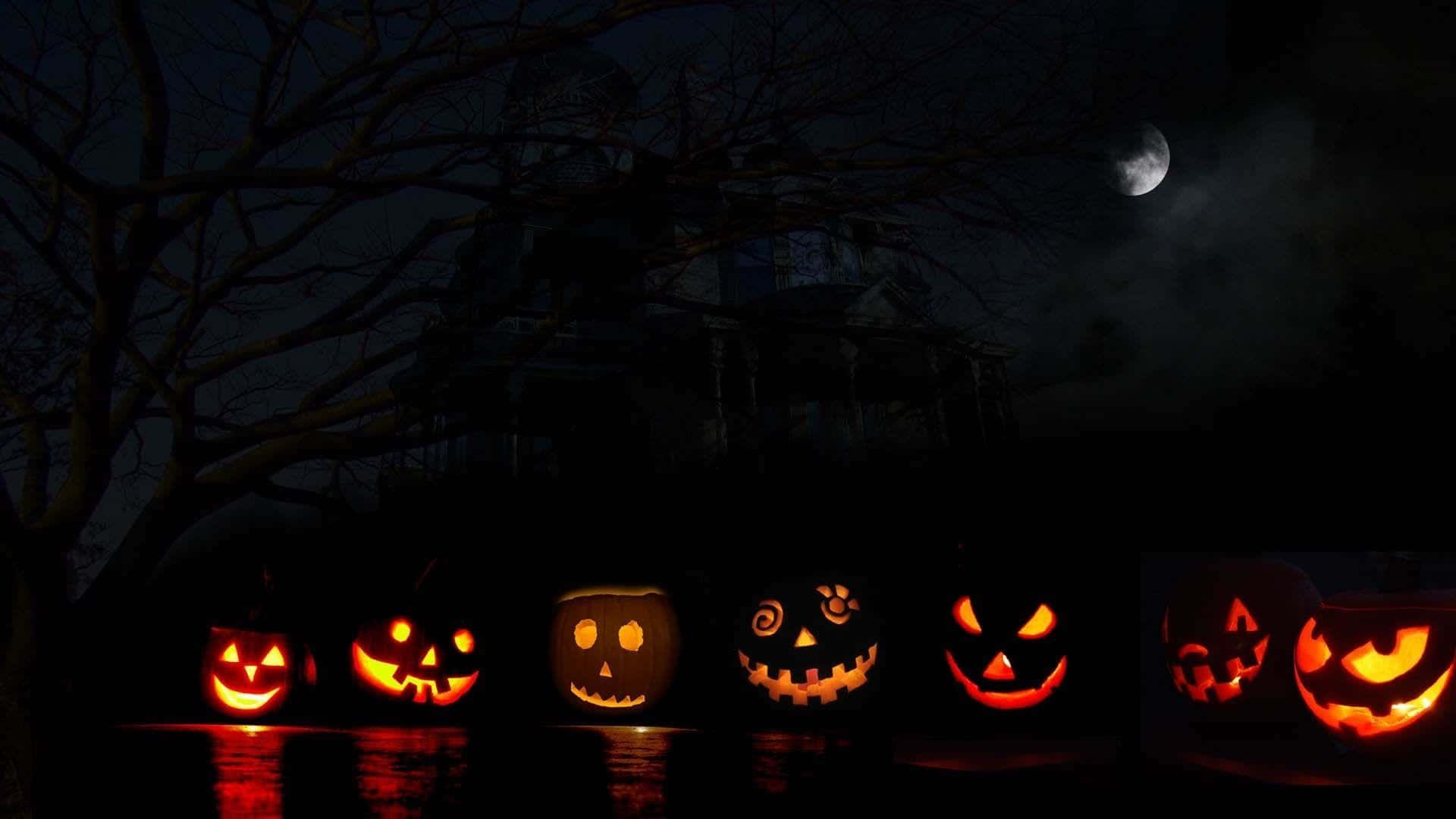 Halloween-gresskar med vannspeiling Bakgrunner