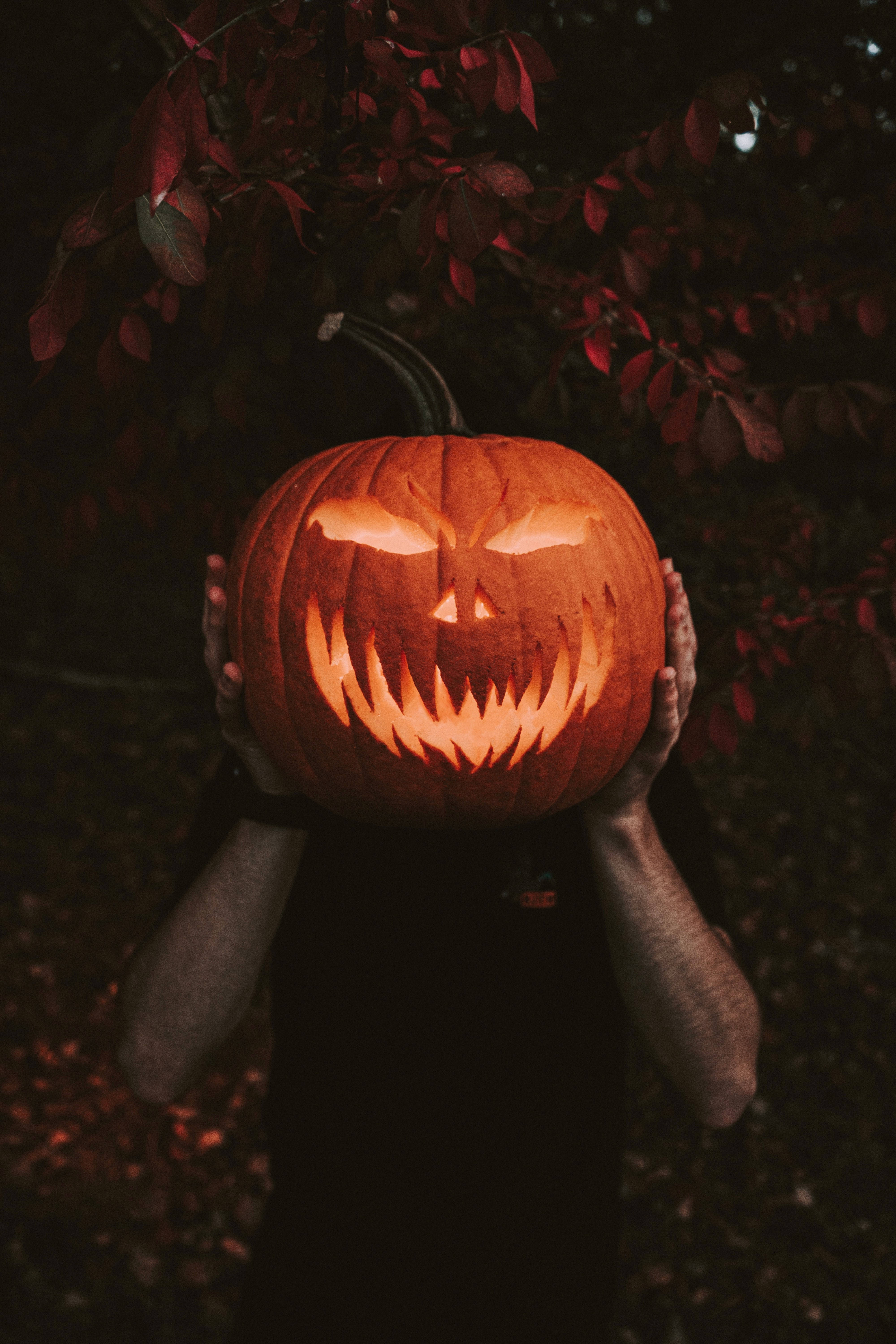 Halloween-gresskar mobilbilde Bakgrunner
