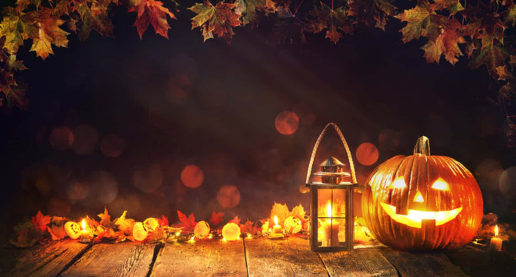 Halloween høst gresskarlykt bilde Bakgrunner