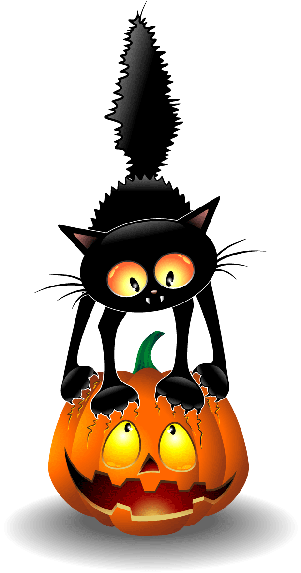 Halloween svart katt og Jack O Lantern Bakgrunner