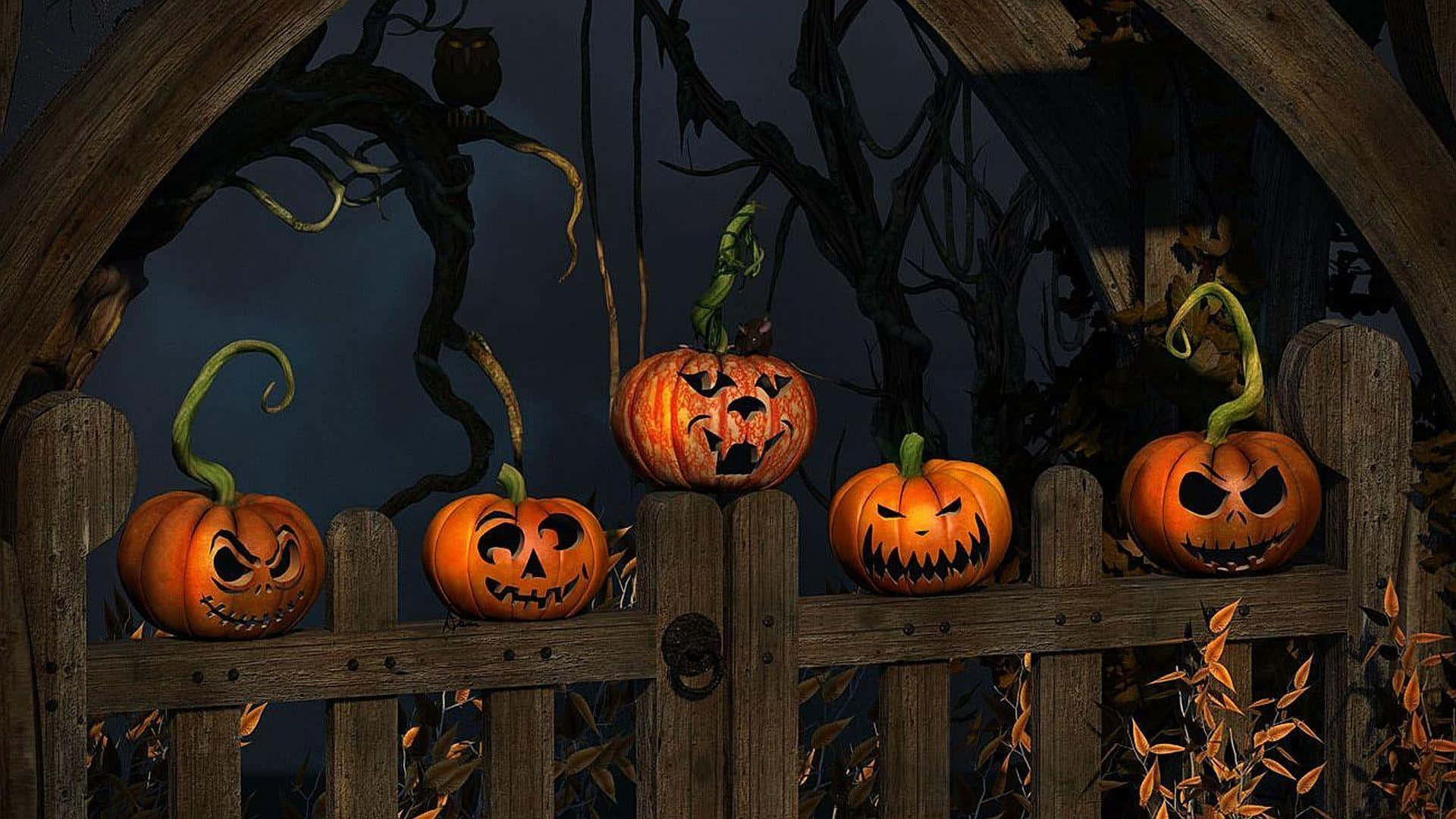 Halloween Teams-bakgrunn med tregjerde Bakgrunner
