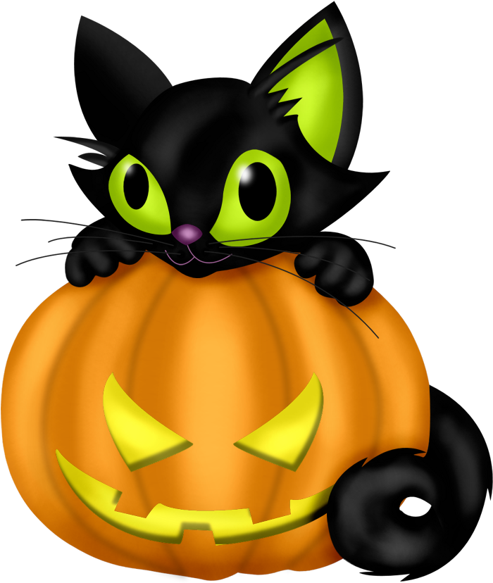 Halloweenkatt på gresskar Bakgrunner