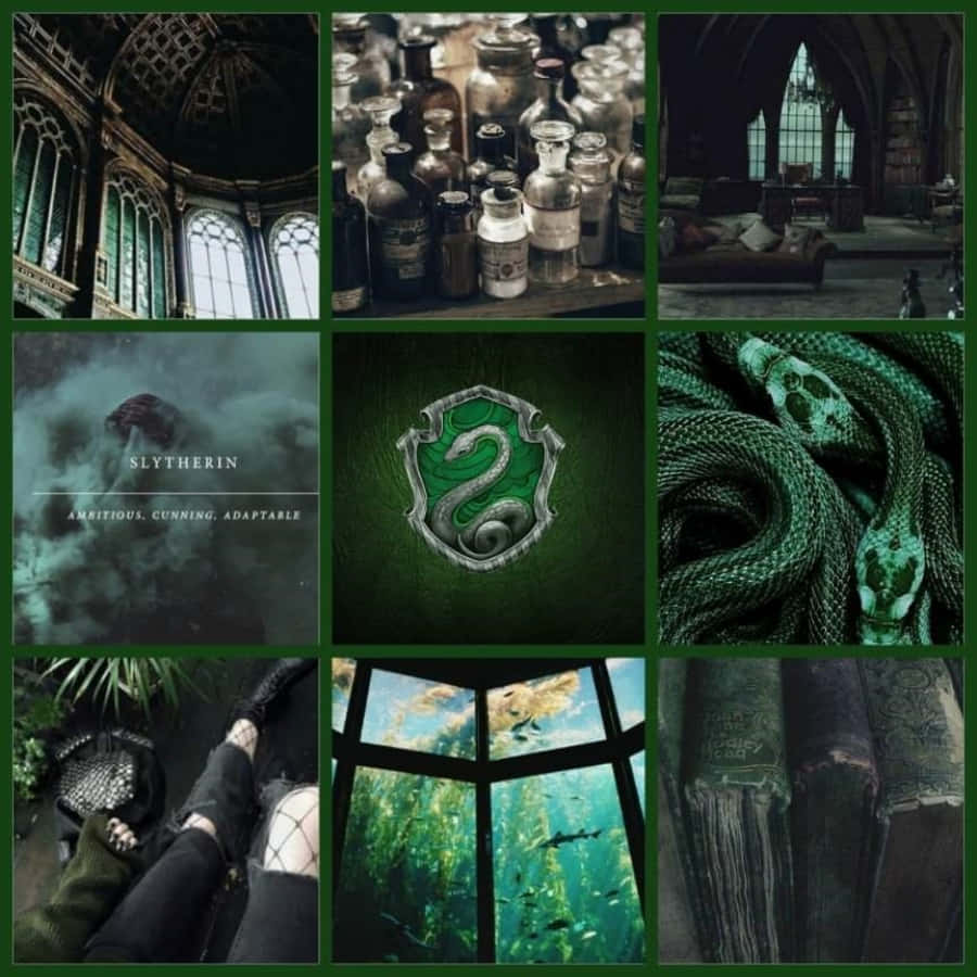Harry Potter-collasj med grønne og svarte bilder Bakgrunner