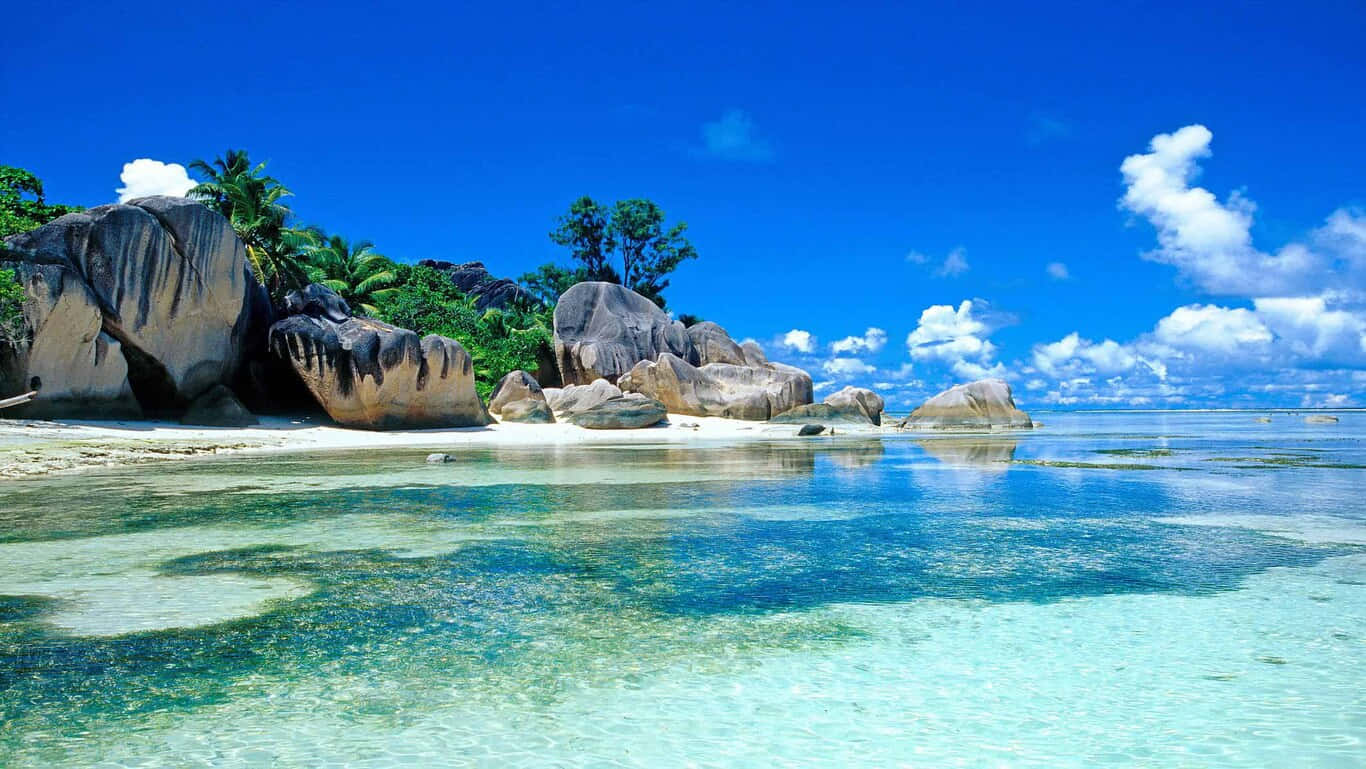 HD-strandøy på Sri Lanka Bakgrunner